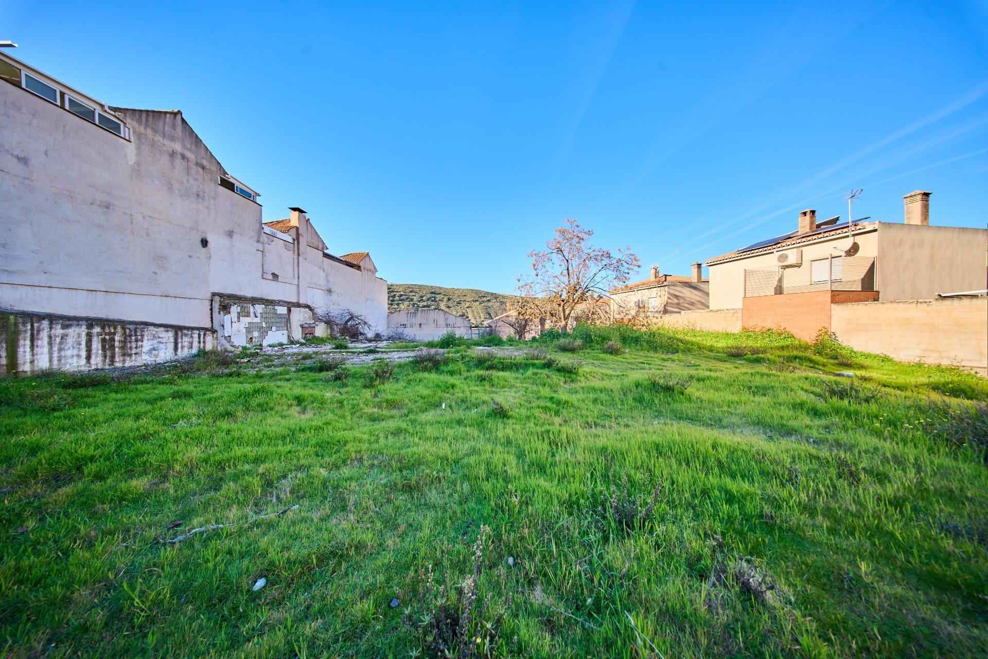 Fincas y solares-Venta-La Granada-2114519-Foto-5