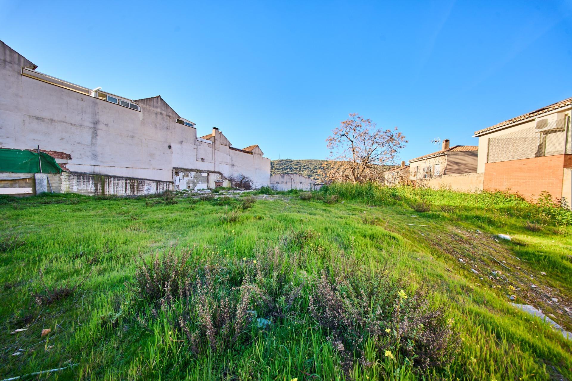Fincas y solares-Venta-La Granada-2114519-Foto-7
