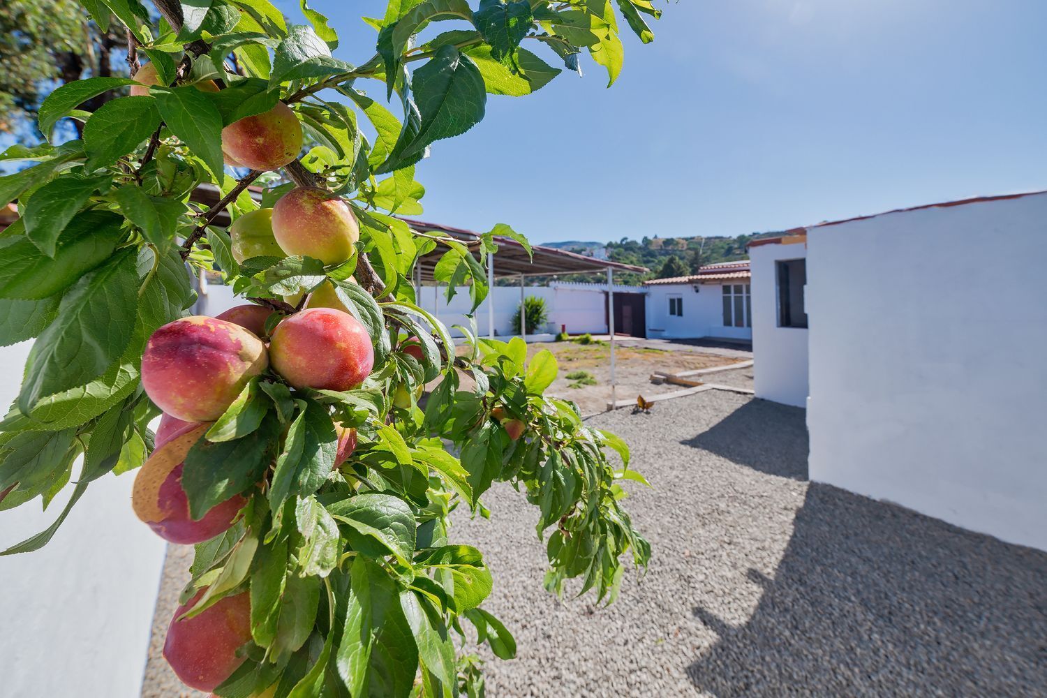Casas o chalets-Venta-Vega de San Mateo-2412515-Foto-7