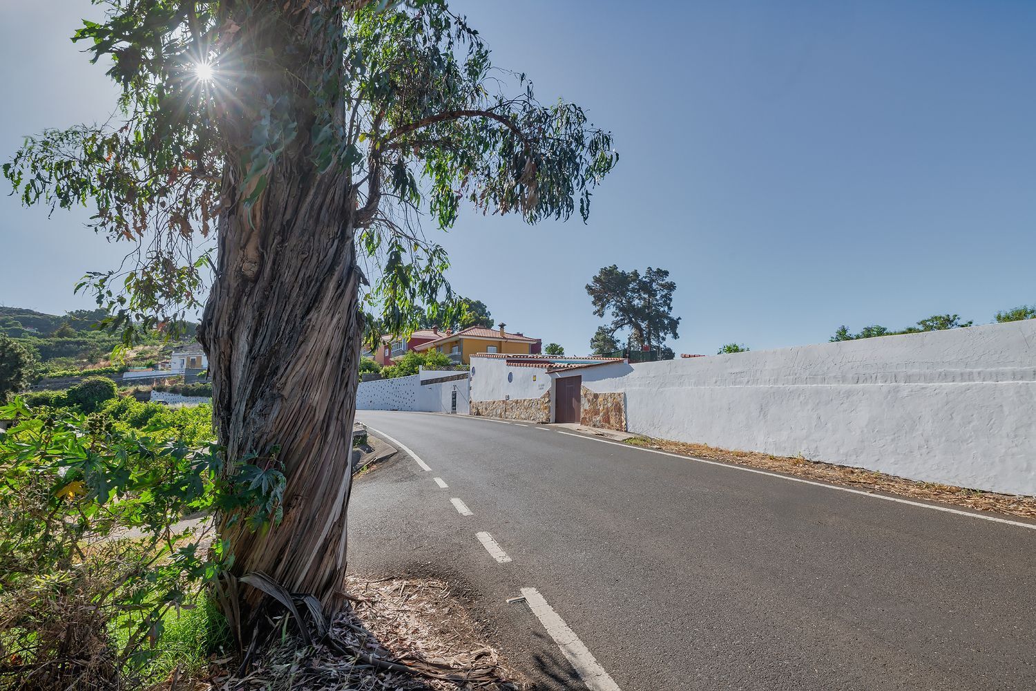 Casas o chalets-Venta-Vega de San Mateo-2412515-Foto-2