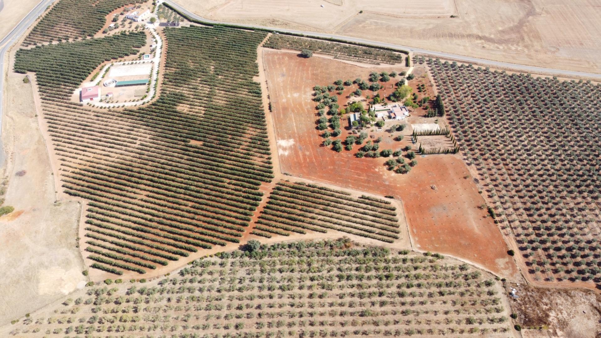 Casa rural en venta, Carmona