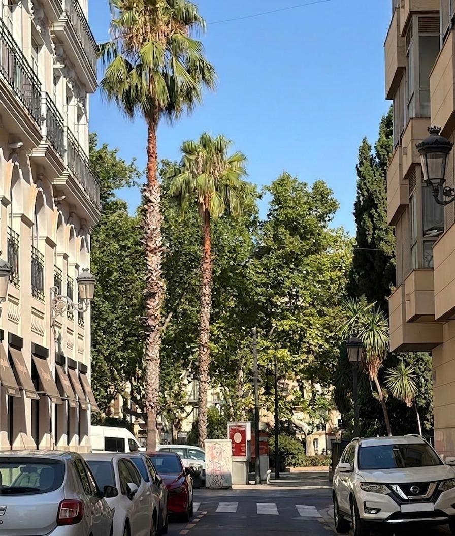 Negocios-Venta-Valencia-2412251
