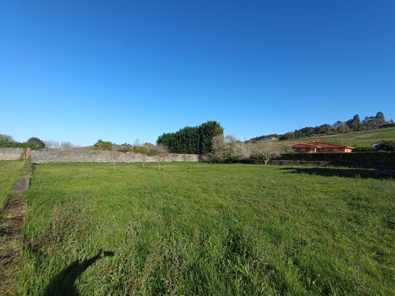 Casas o chalets-Venta-CastrillÃ³n-2200089-Foto-58