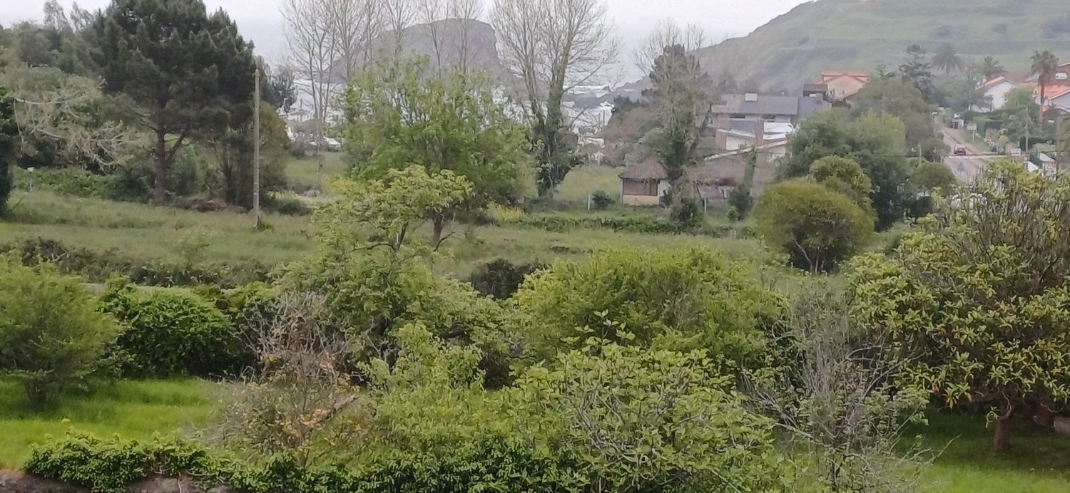Casas o chalets-Venta-CastrillÃ³n-2200089-Foto-114