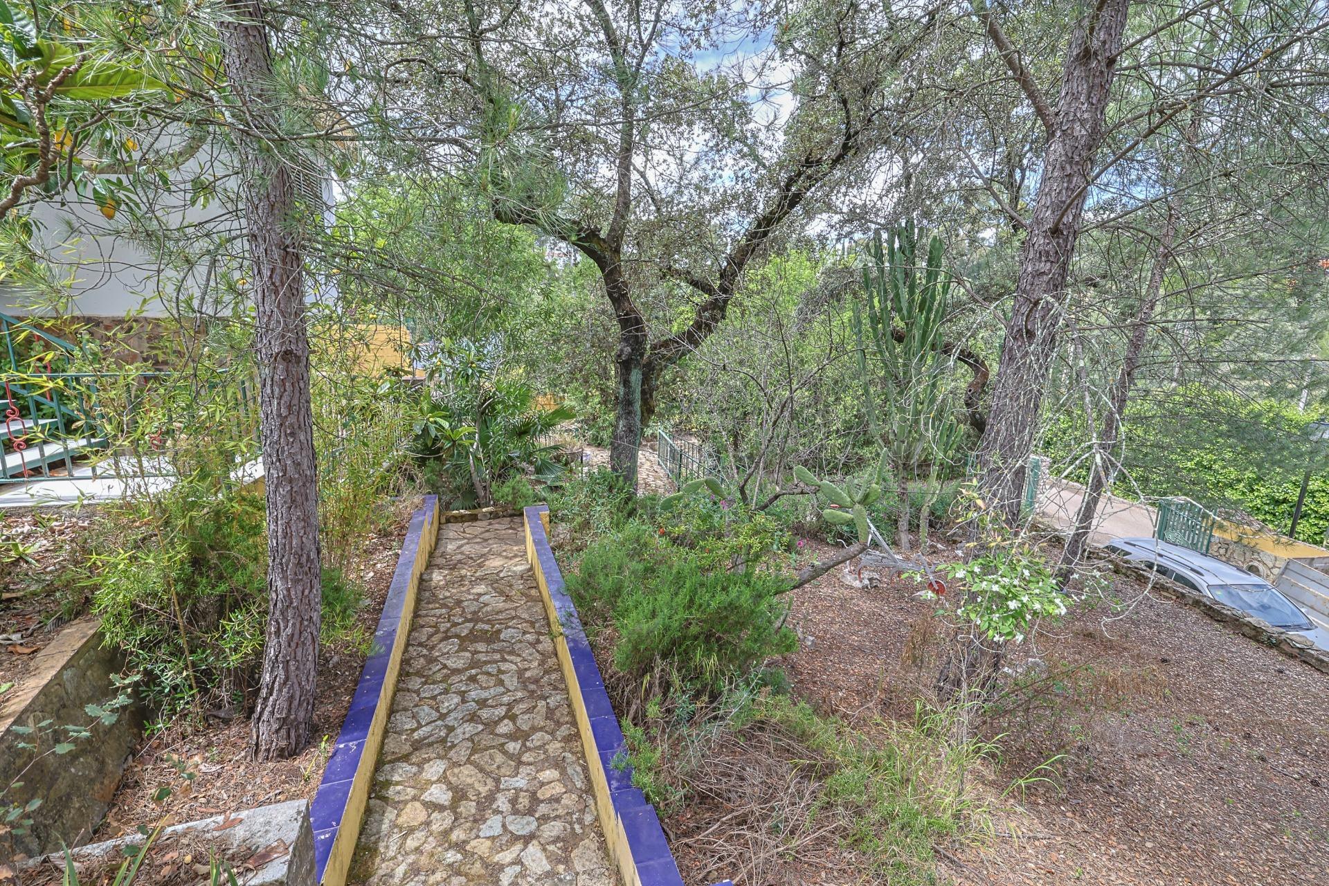 Casas o chalets-Venta-Guillena-1727057-Foto-71