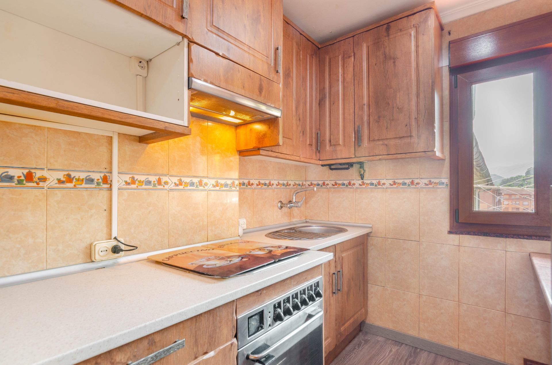 Pisos-Venta-Mieres-2412248-Foto-5