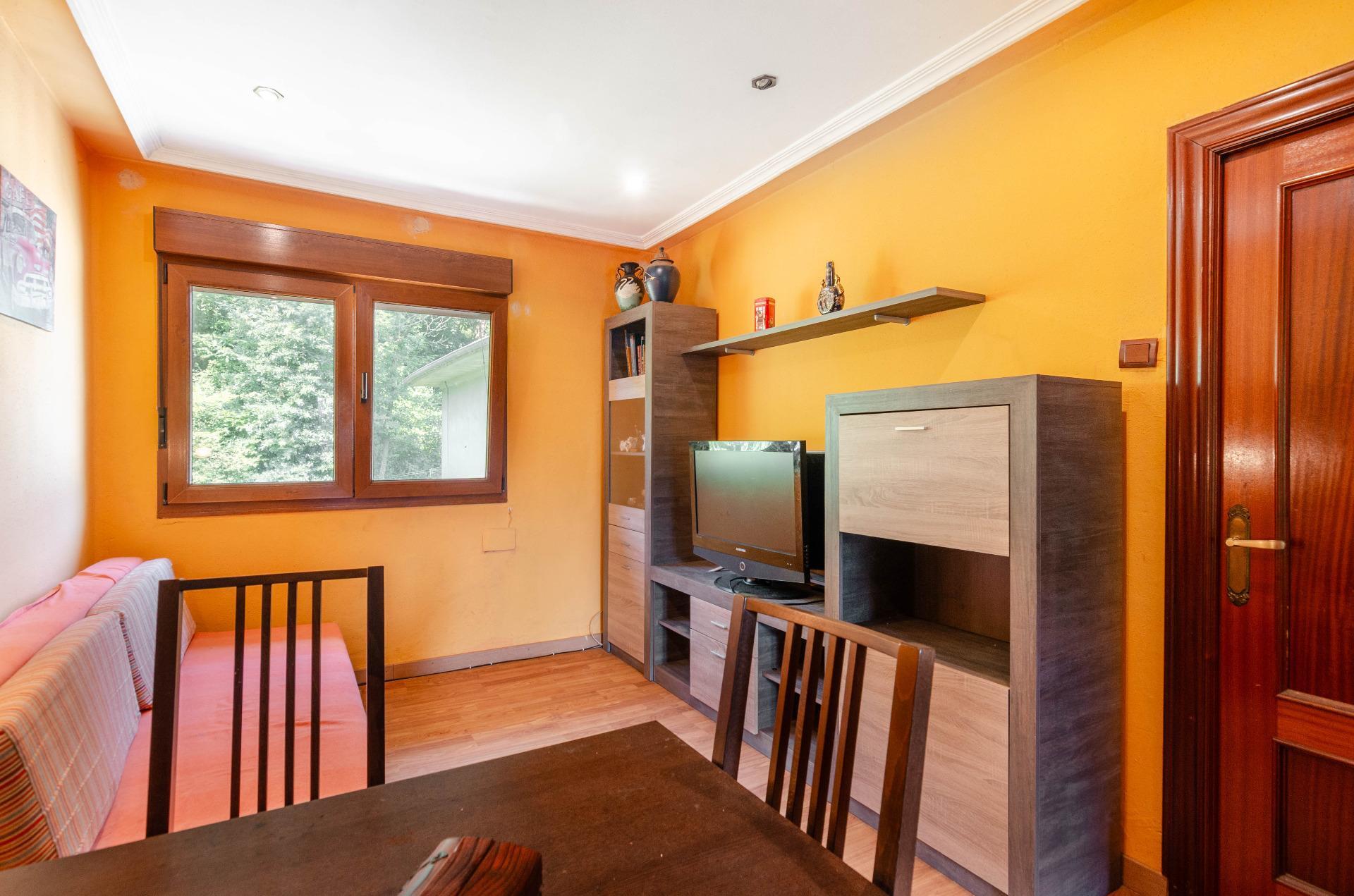 Pisos-Venta-Mieres-2412248-Foto-3