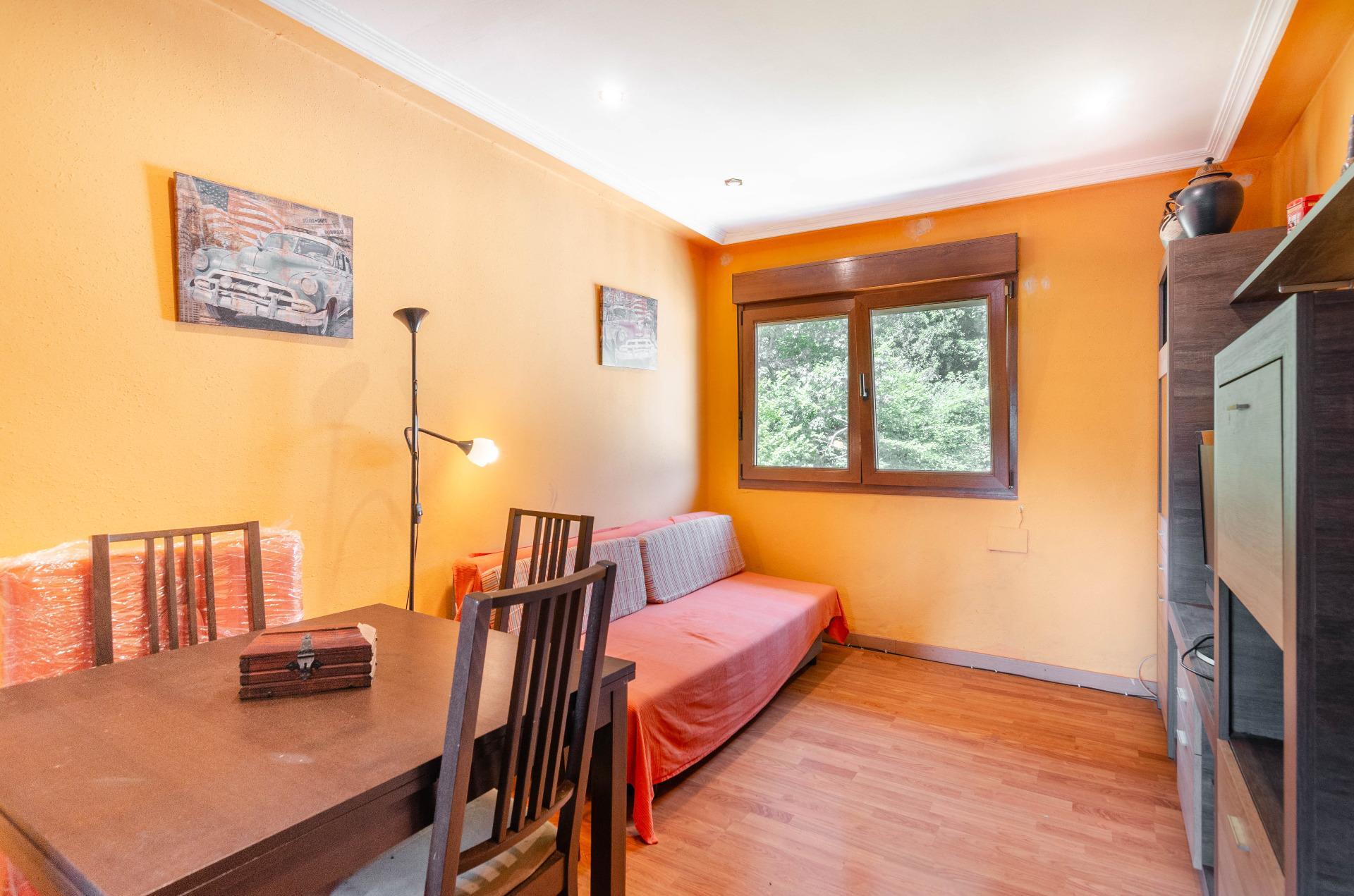 Pisos-Venta-Mieres-2412248-Foto-4