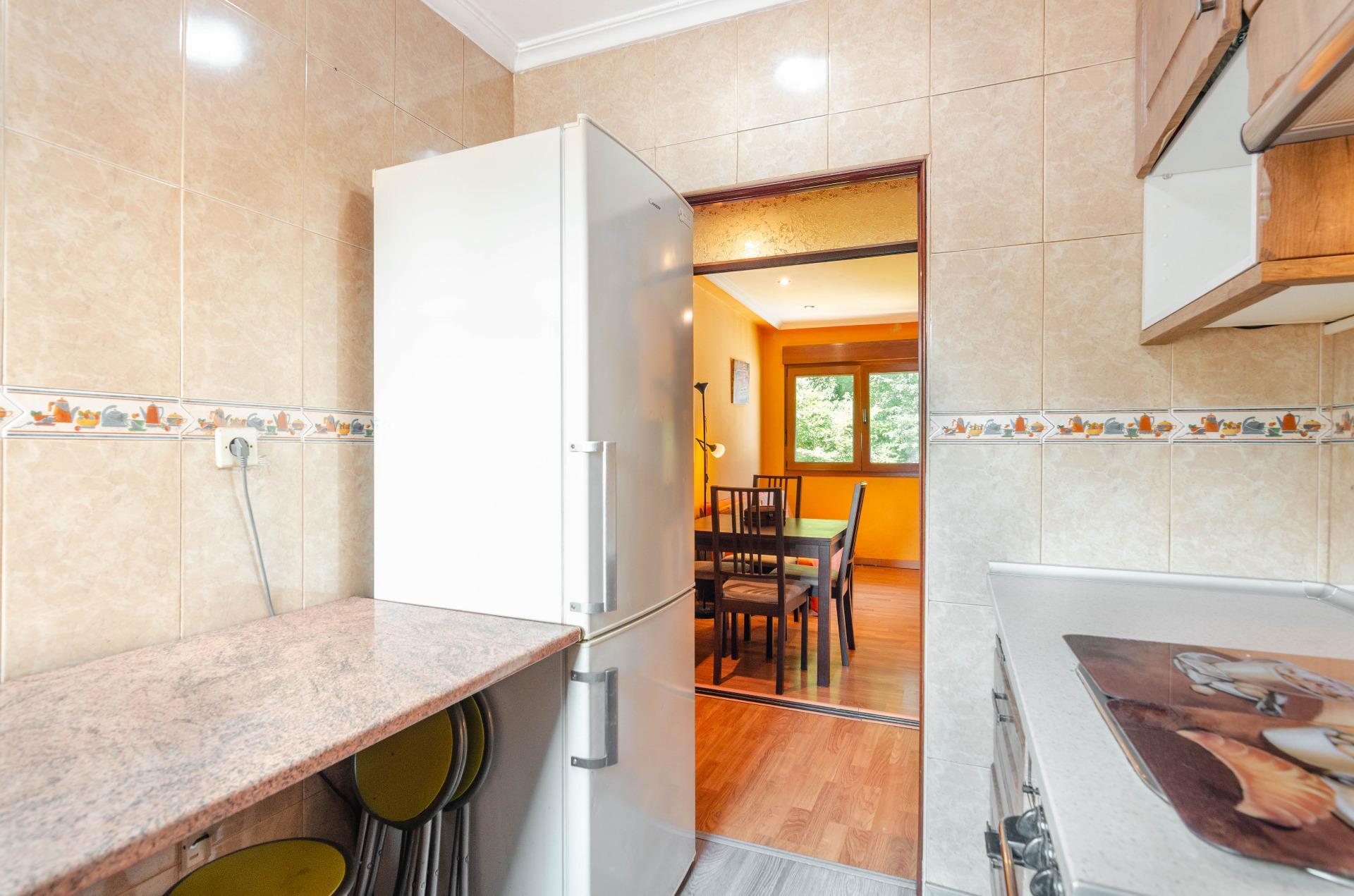 Pisos-Venta-Mieres-2412248-Foto-6