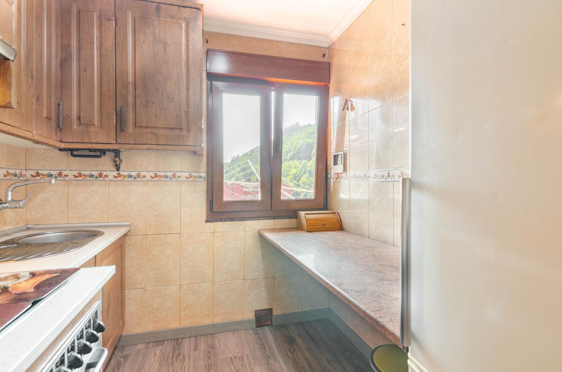 Pisos-Venta-Mieres-2412248-Foto-7