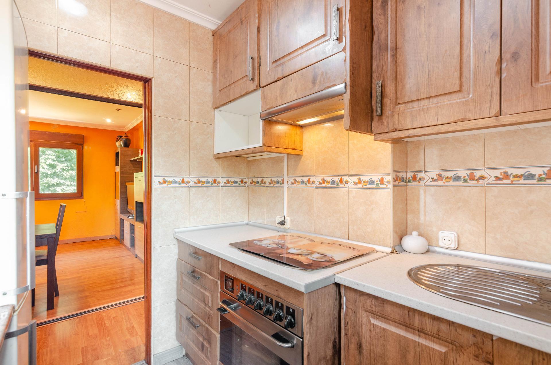 Pisos-Venta-Mieres-2412248-Foto-8