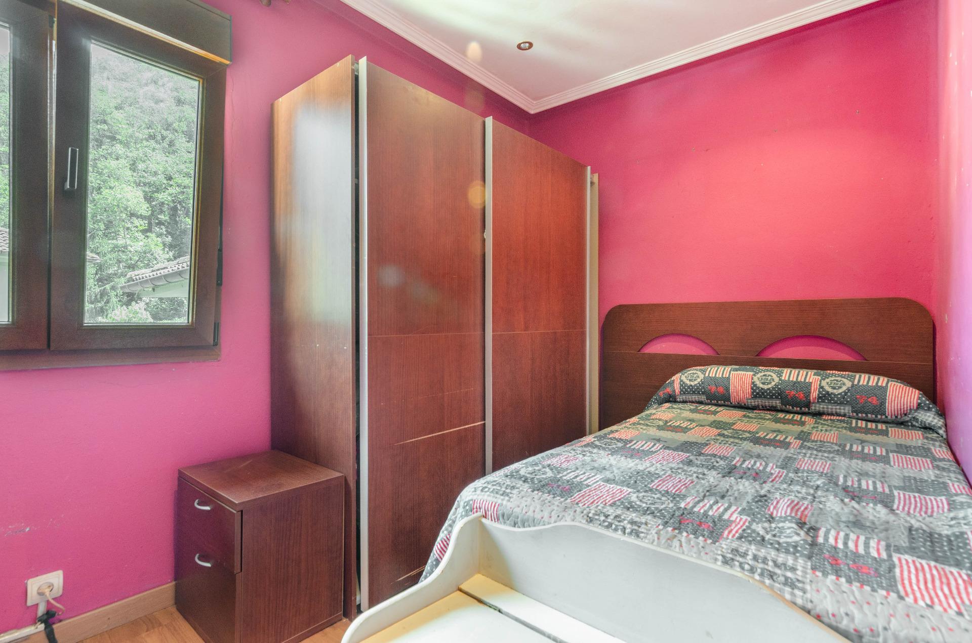 Pisos-Venta-Mieres-2412248-Foto-18