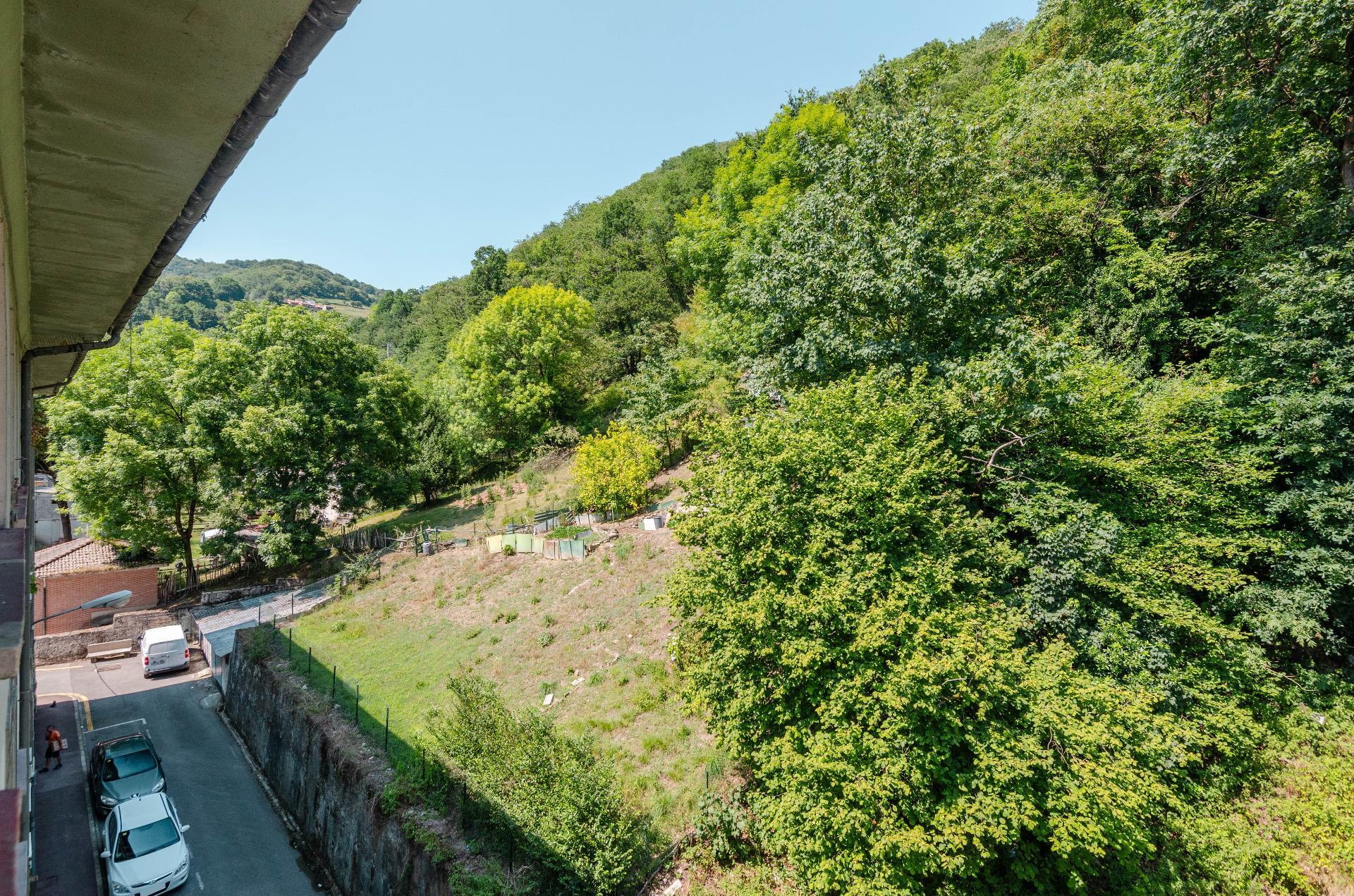 Pisos-Venta-Mieres-2412248-Foto-21