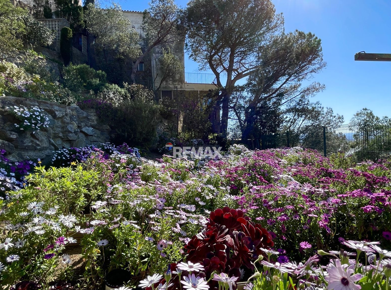 Casas o chalets-Venta-Roses-2413157-Foto-59