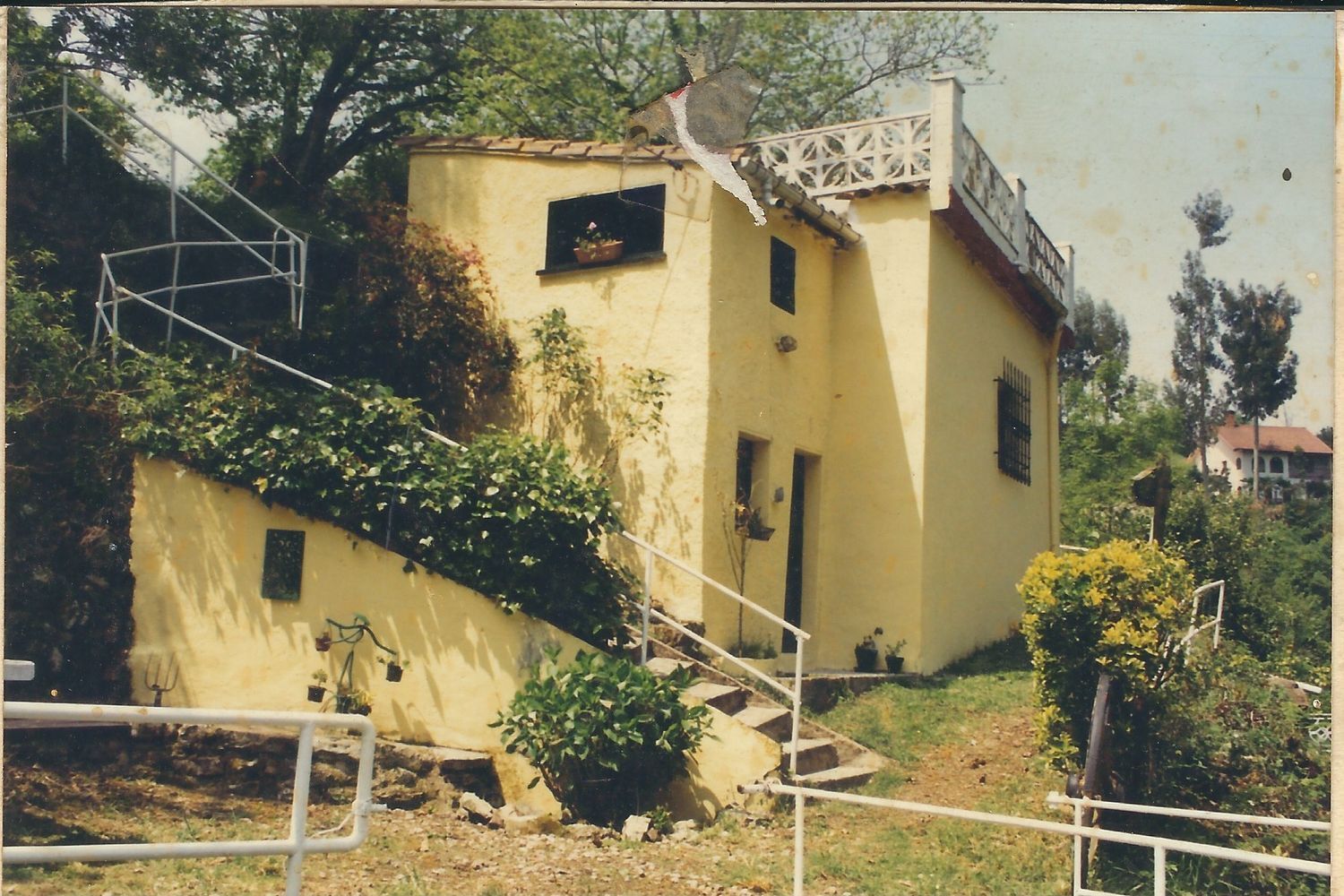 Casas o chalets-Venta-GijÃ³n-2412443-Foto-2