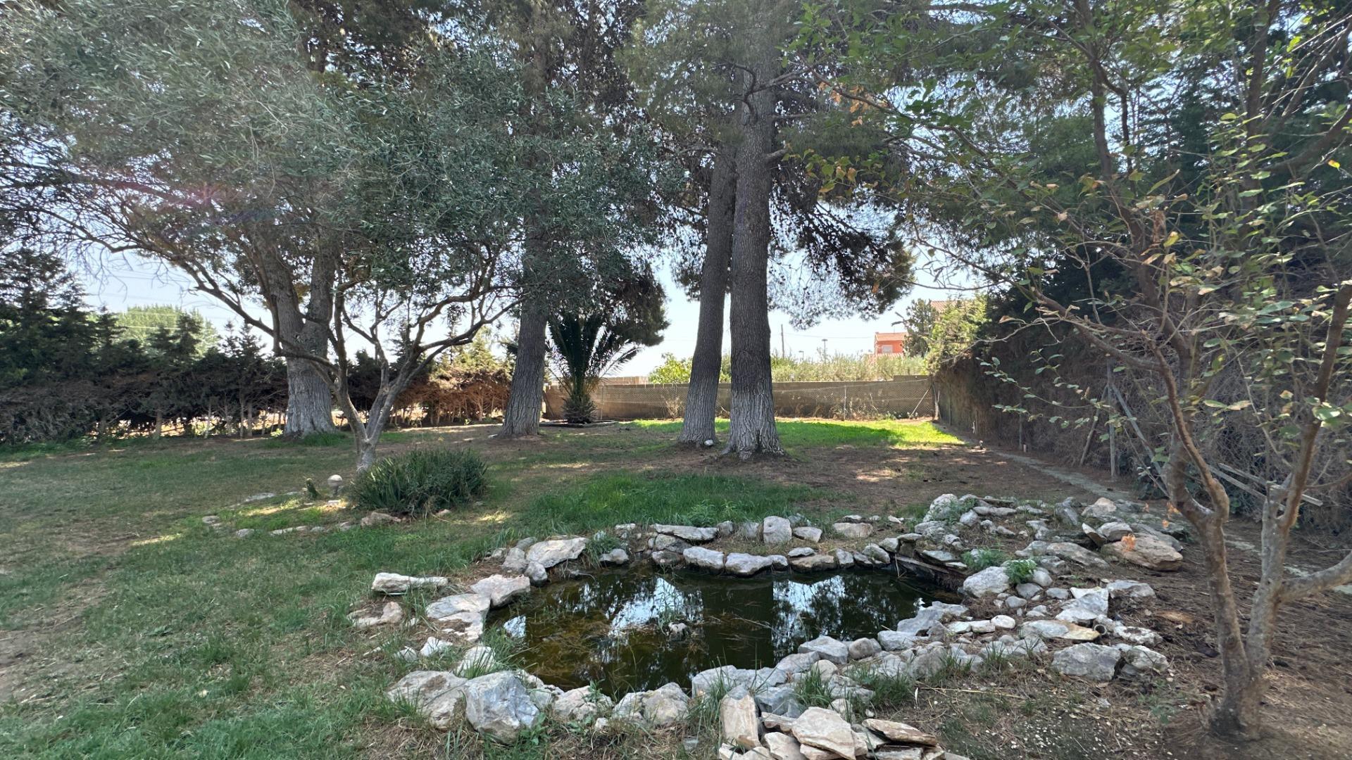 Casas o chalets-Venta-Sobradiel-2415986-Foto-77