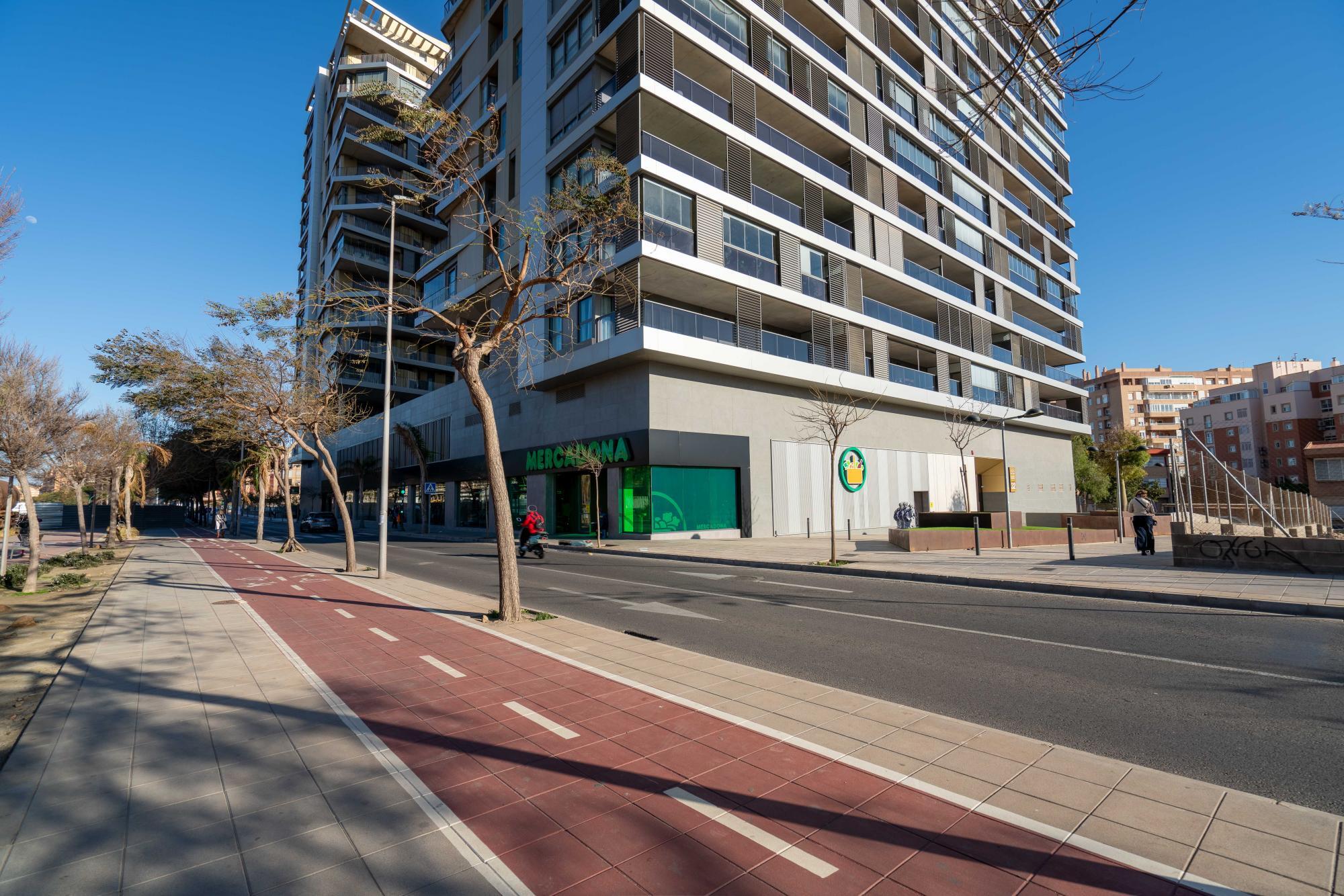 Pisos-Venta-AlmerÃ­a-2412266-Foto-39