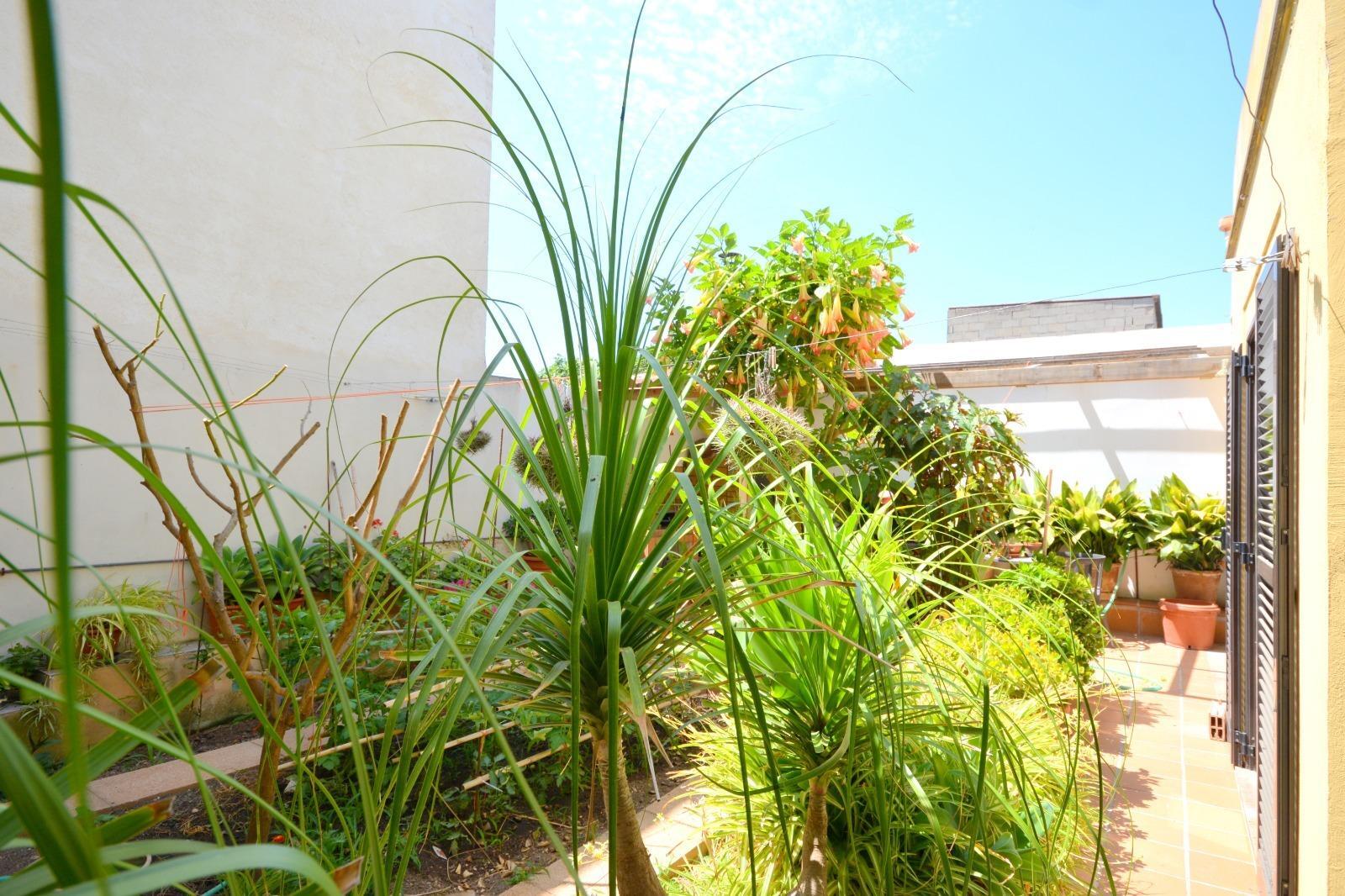Piso en venta, Sineu, Baleares/Islas Baleares, Baleares/Islas Baleares