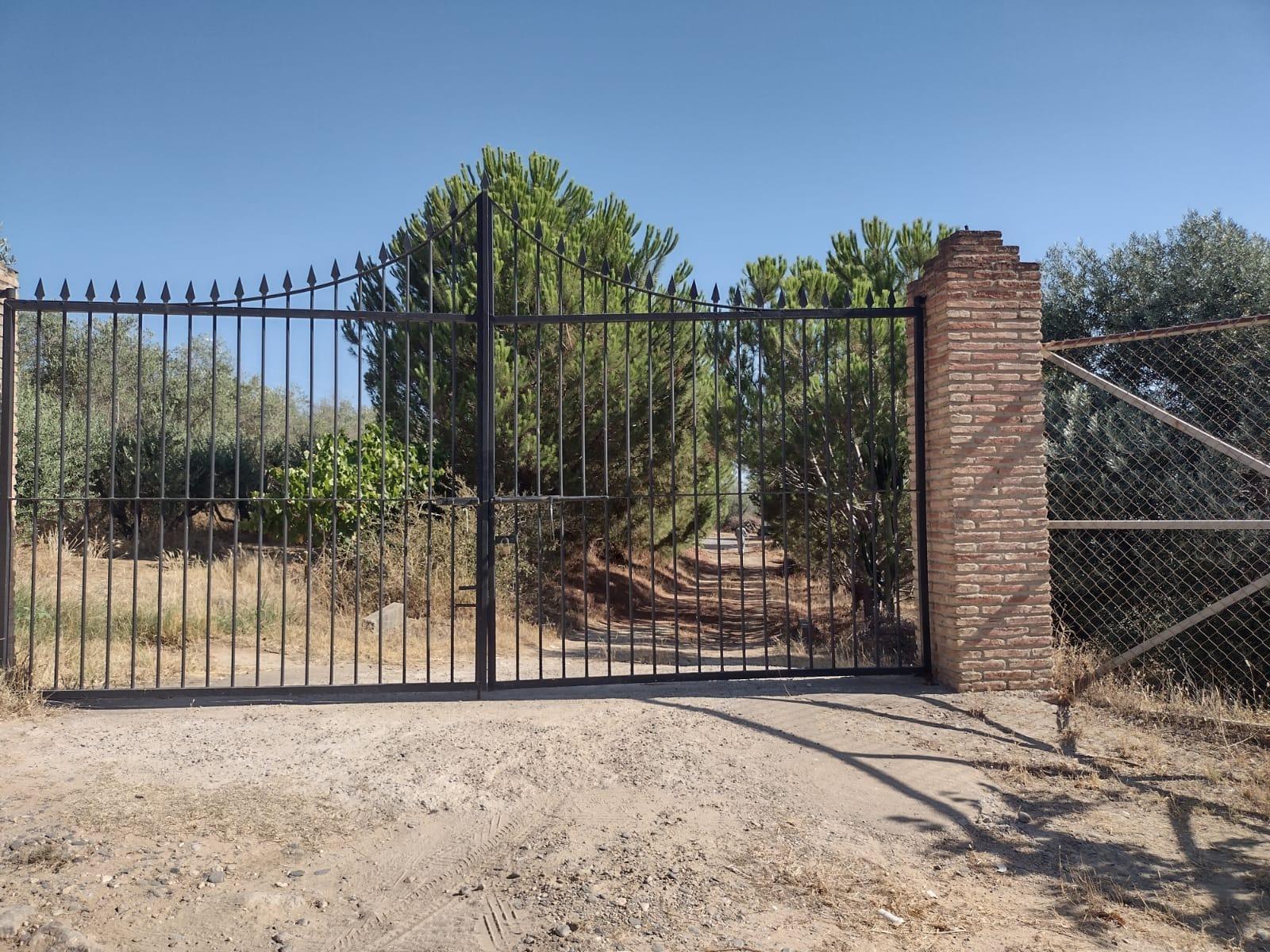 Casas o chalets-Venta-Cantillana-2412770