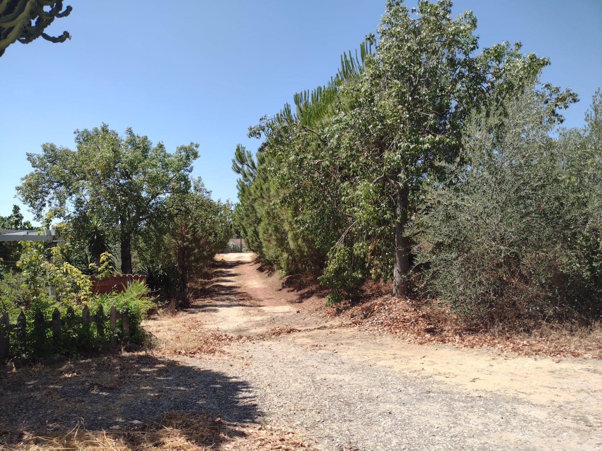 Casas o chalets-Venta-Cantillana-2412770-Foto-3