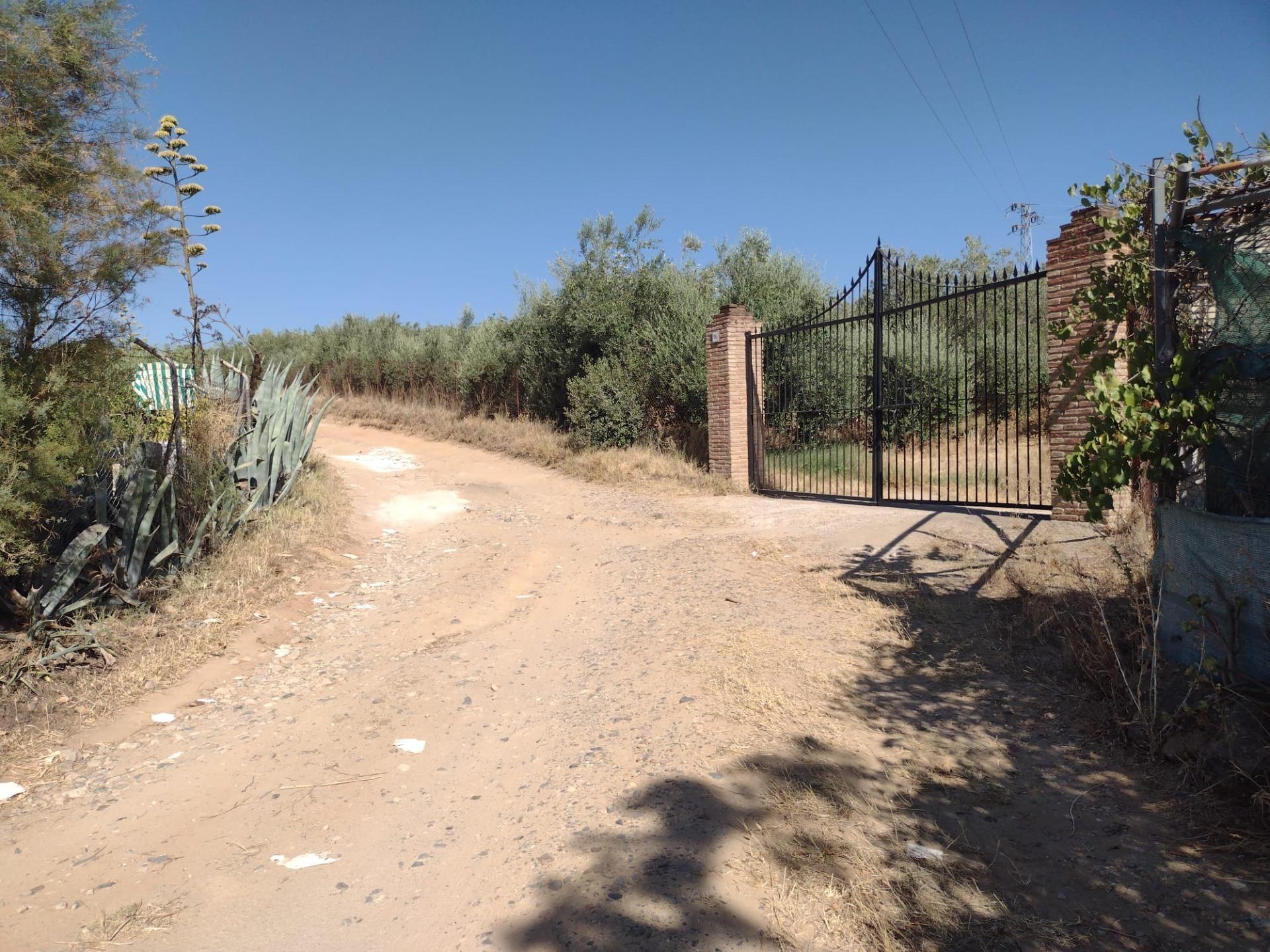 Casas o chalets-Venta-Cantillana-2412770-Foto-2