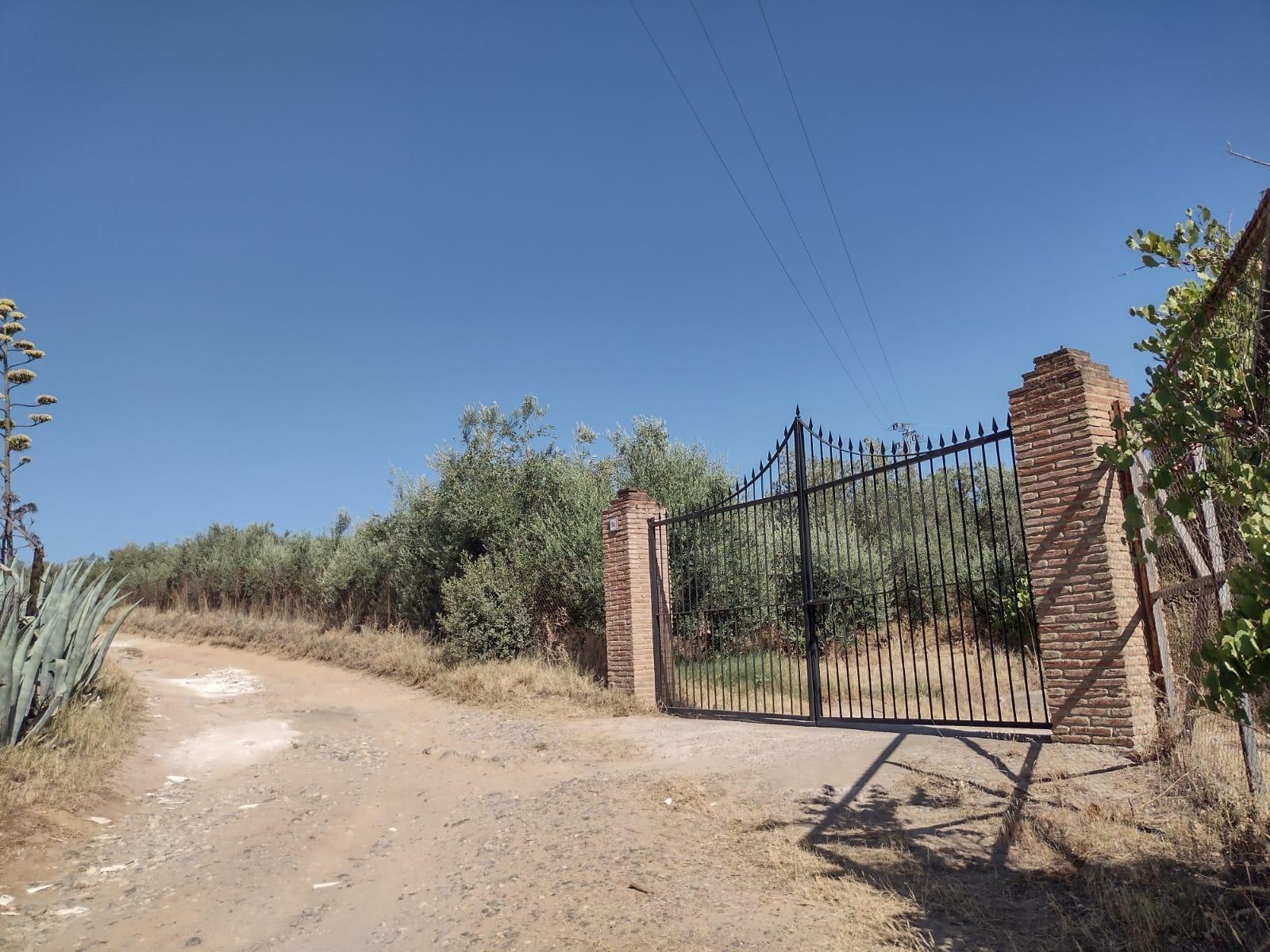 Casas o chalets-Venta-Cantillana-2412770-Foto-4