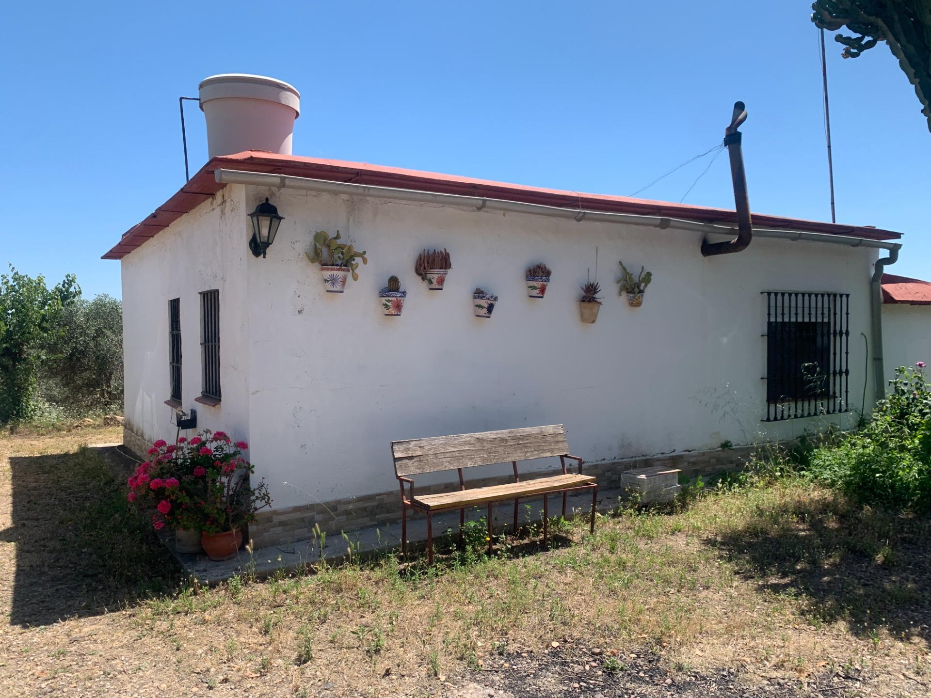 Casas o chalets-Venta-Cantillana-2412770-Foto-6