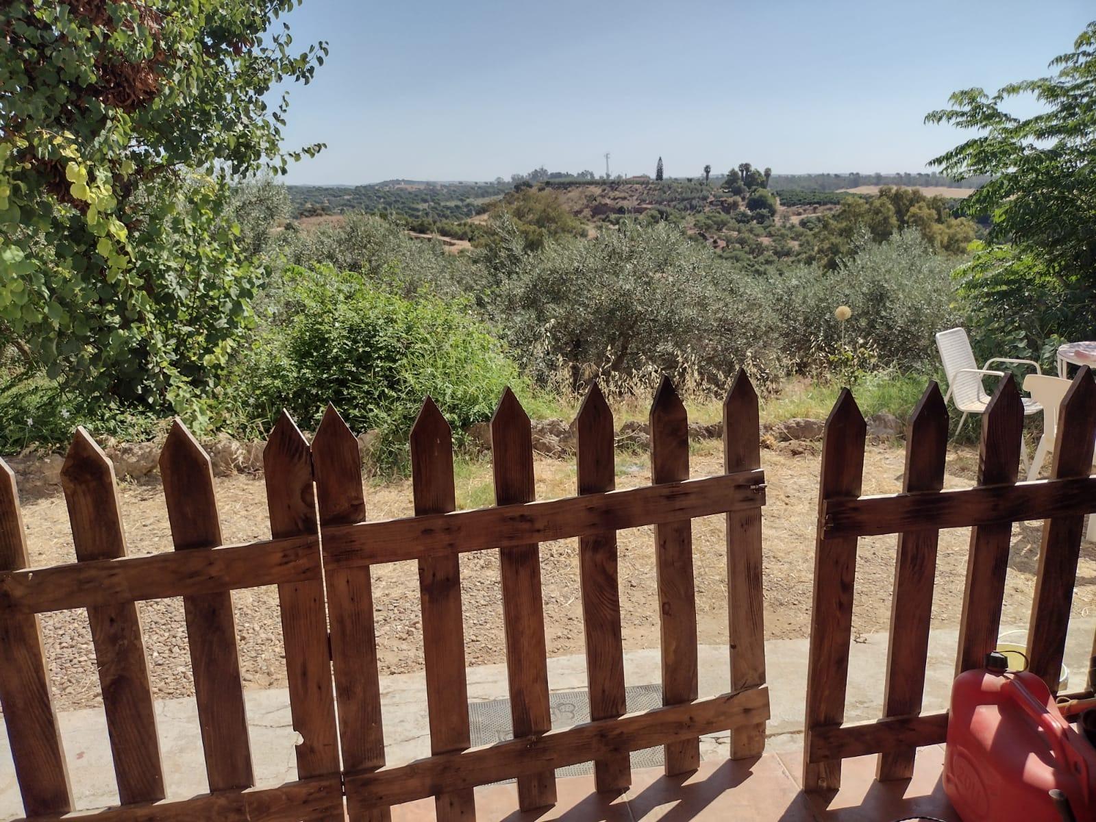 Casas o chalets-Venta-Cantillana-2412770-Foto-19