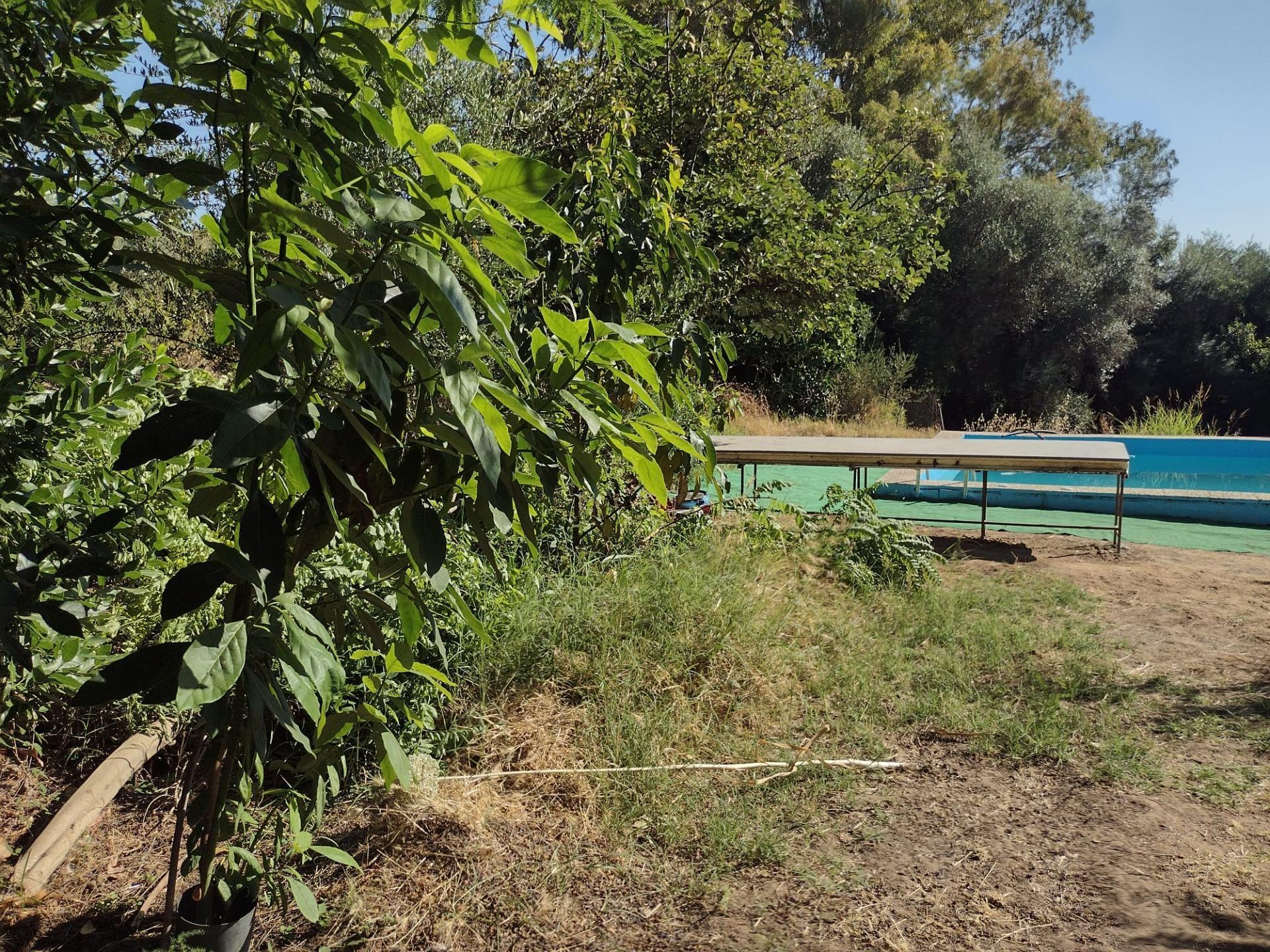 Casas o chalets-Venta-Cantillana-2412770-Foto-20