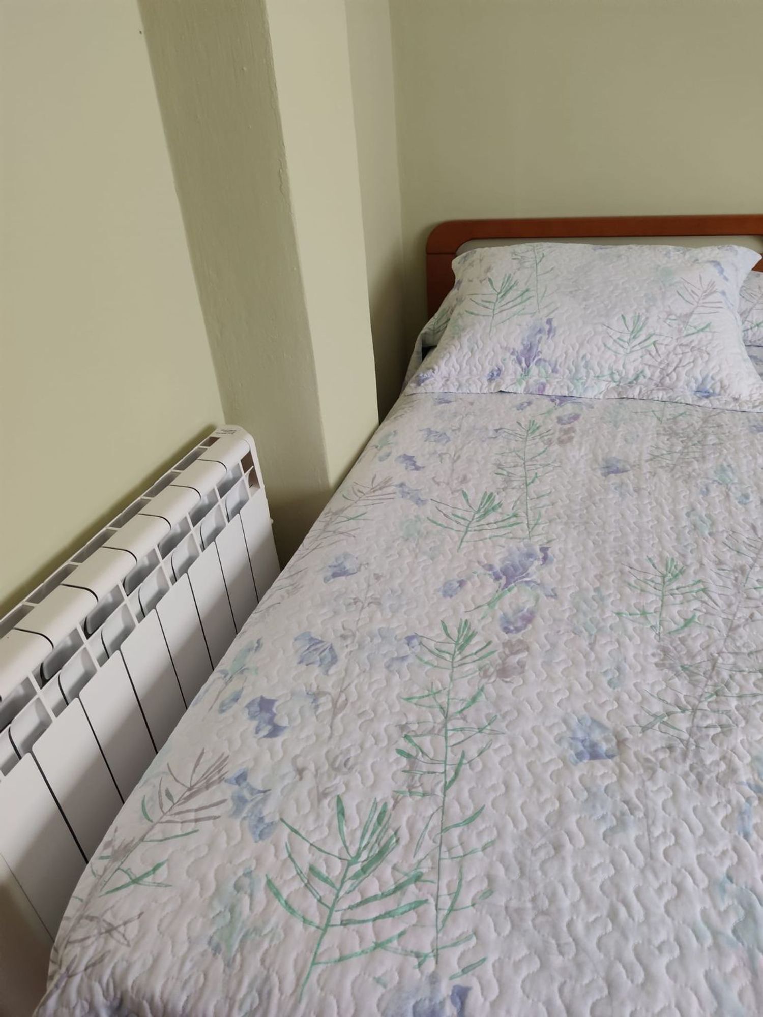 Casas o chalets-Venta-Ibias-2412440-Foto-38