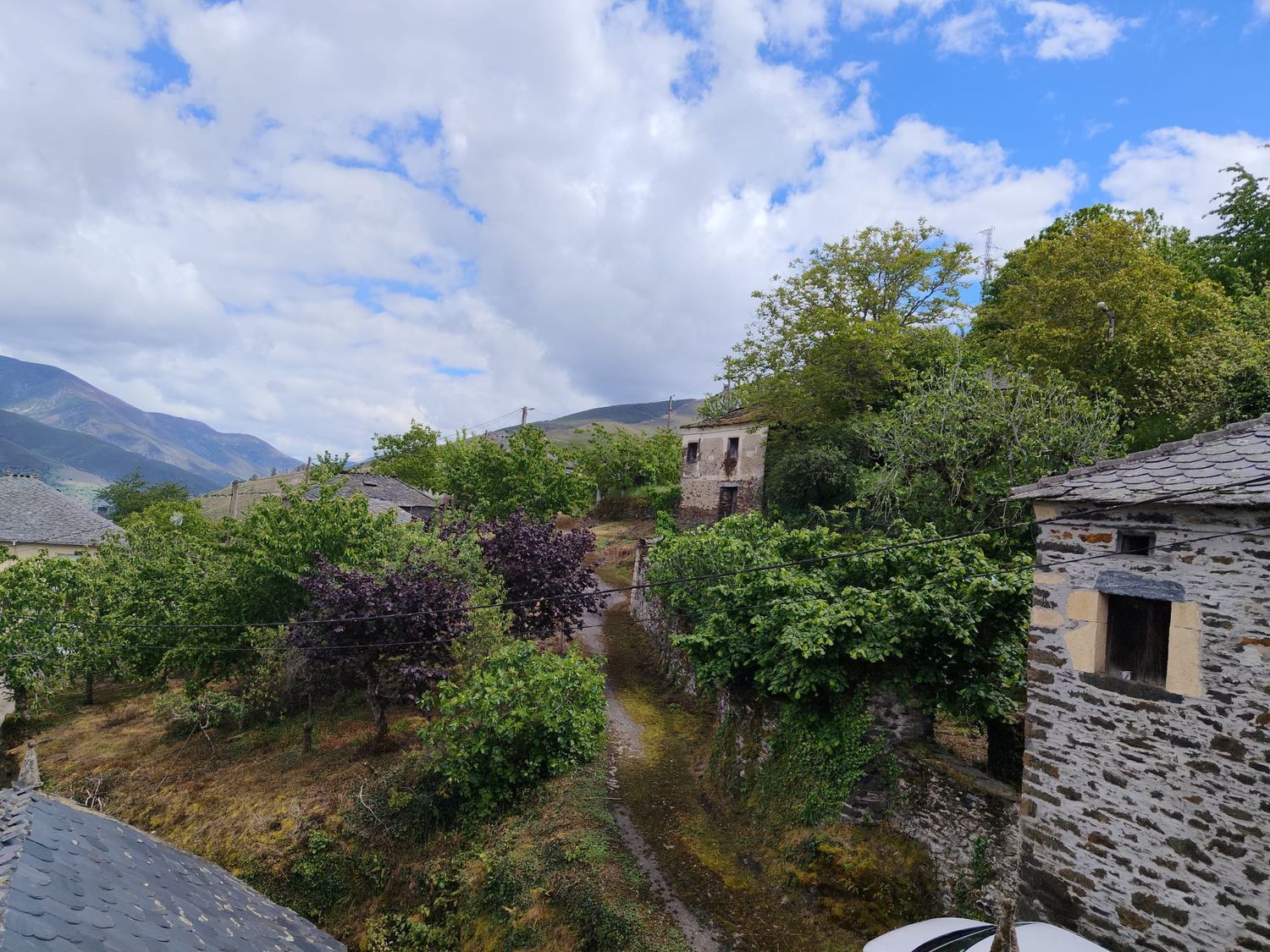 Casas o chalets-Venta-Ibias-2412440-Foto-49
