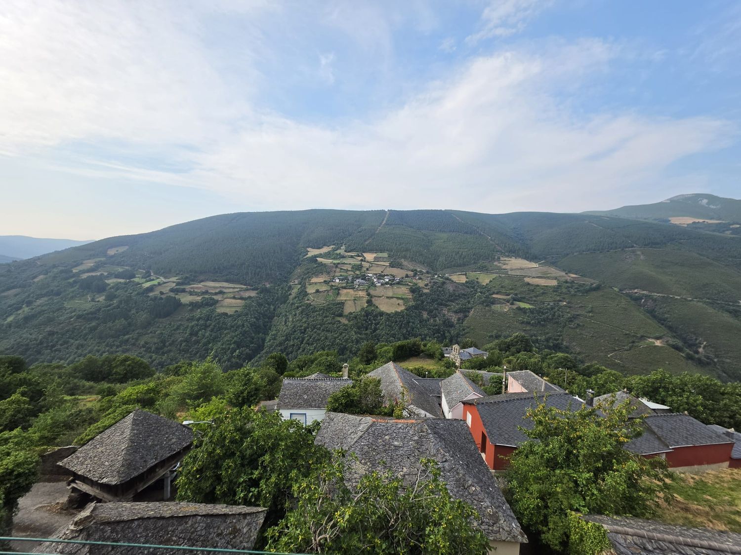Casas o chalets-Venta-Ibias-2412440-Foto-56