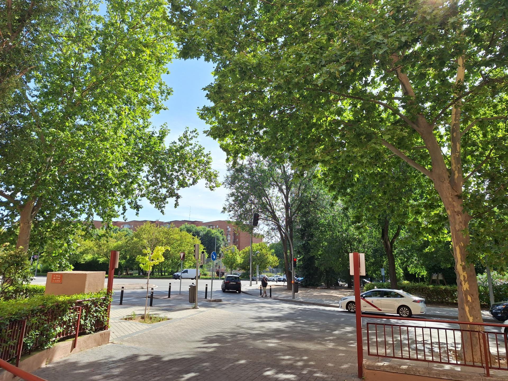 Pisos-Venta-Madrid-2416535-Foto-51