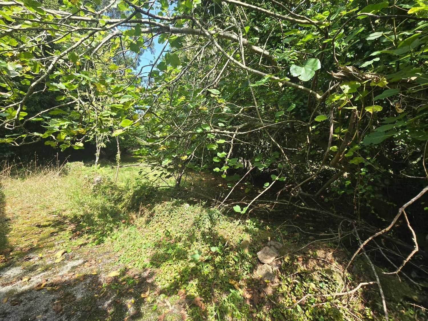 Casa en venta en Viveiro 24/25