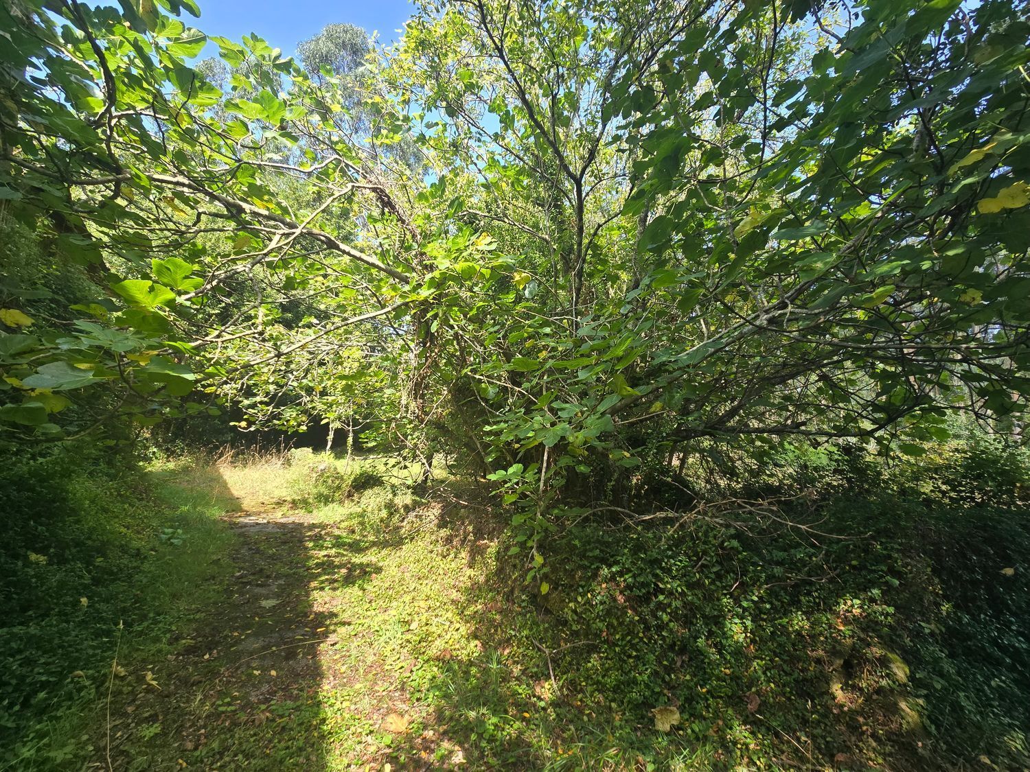 Casa en venta en Viveiro 25/25