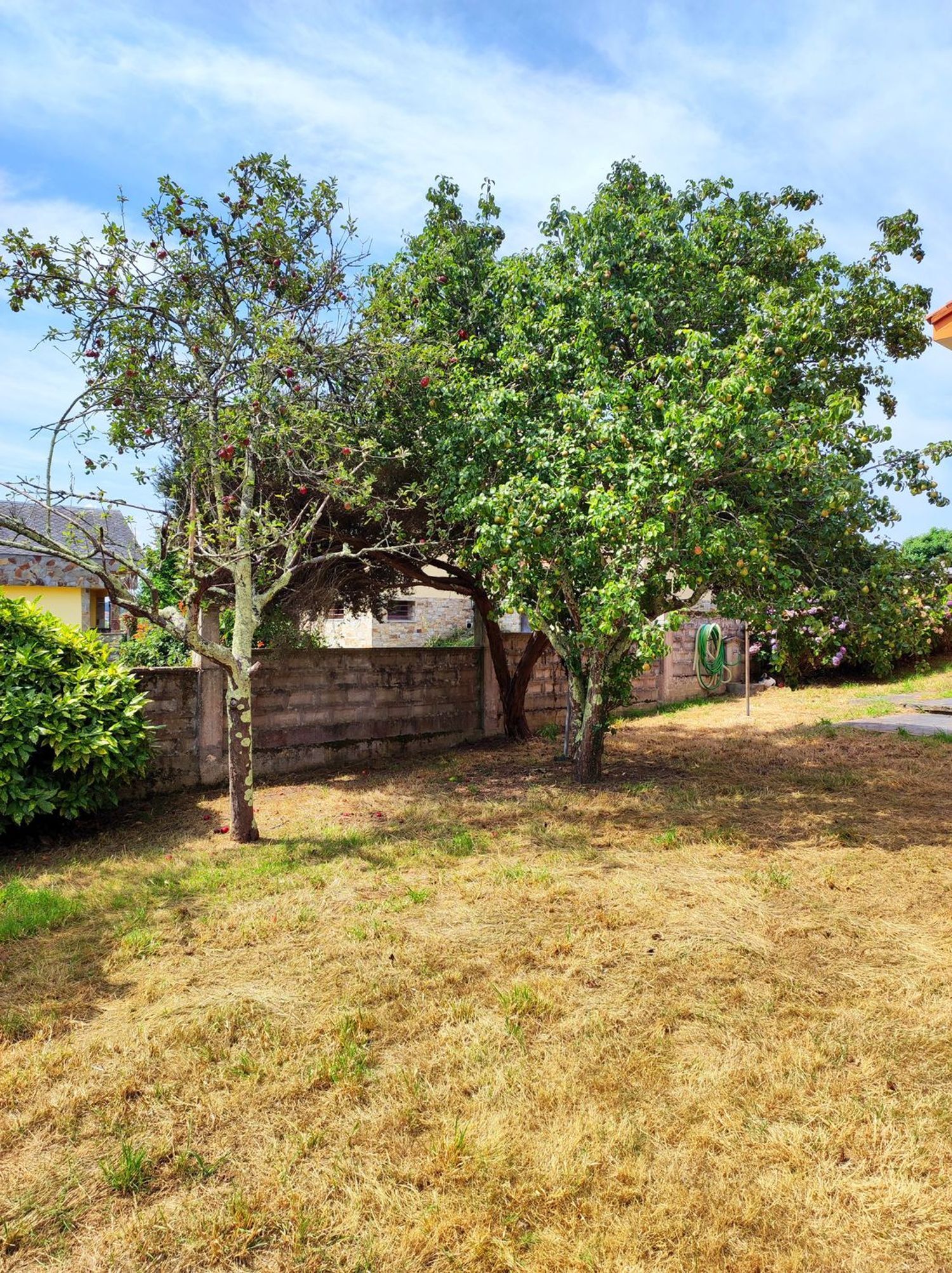 Casas o chalets-Venta-Oleiros-2412539-Foto-48