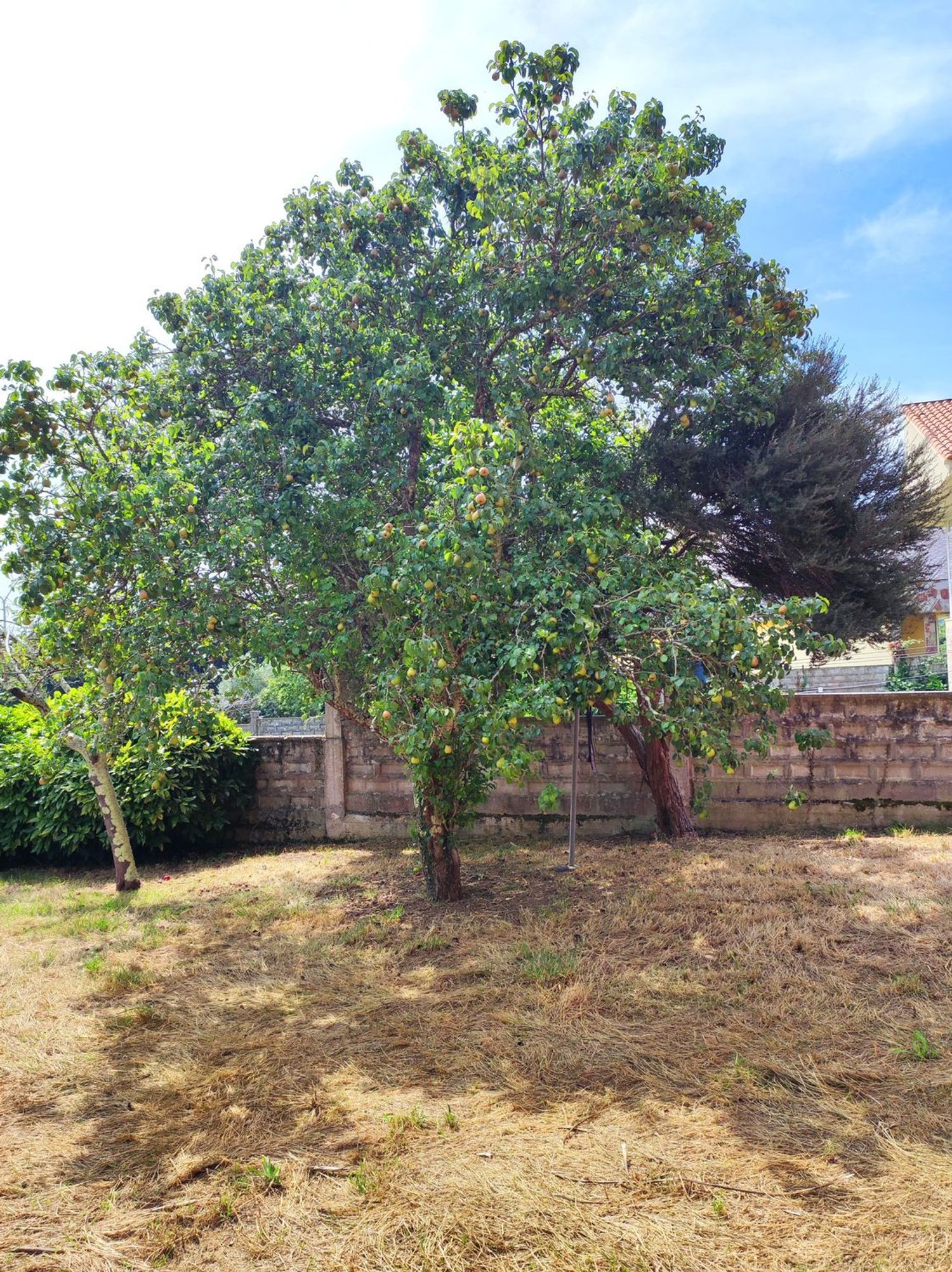 Casas o chalets-Venta-Oleiros-2412539-Foto-46
