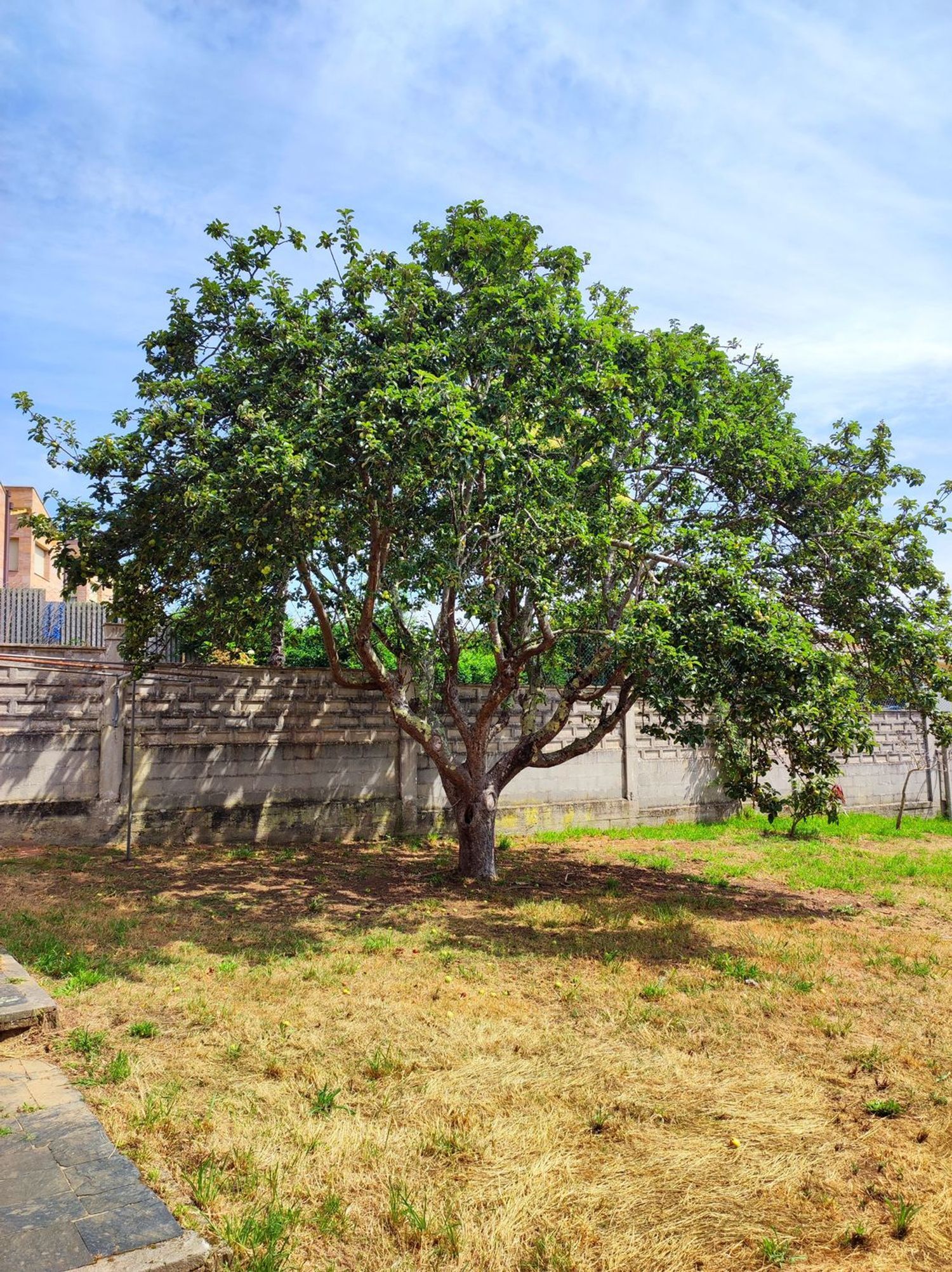 Casas o chalets-Venta-Oleiros-2412539-Foto-45
