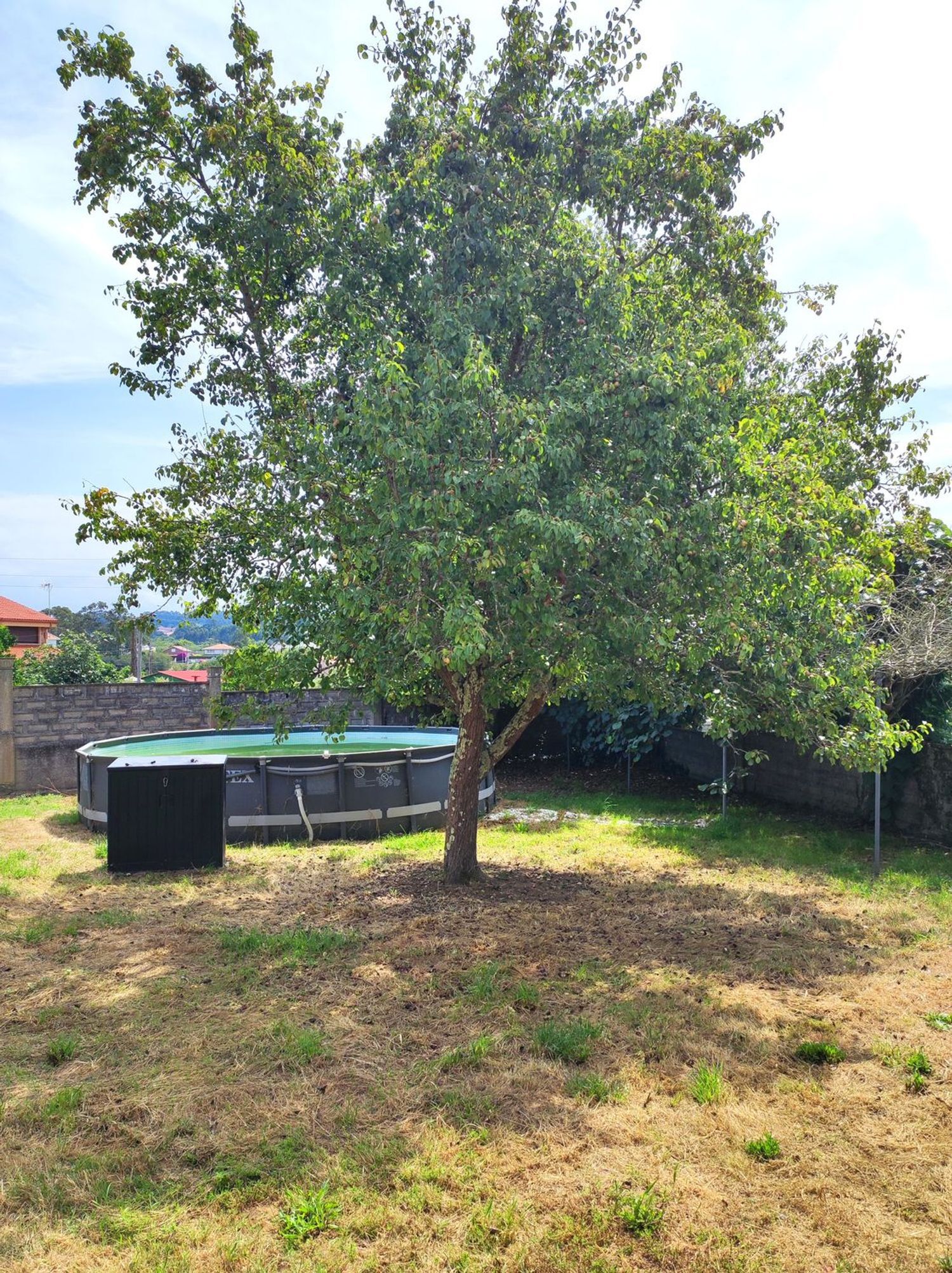 Casas o chalets-Venta-Oleiros-2412539-Foto-47