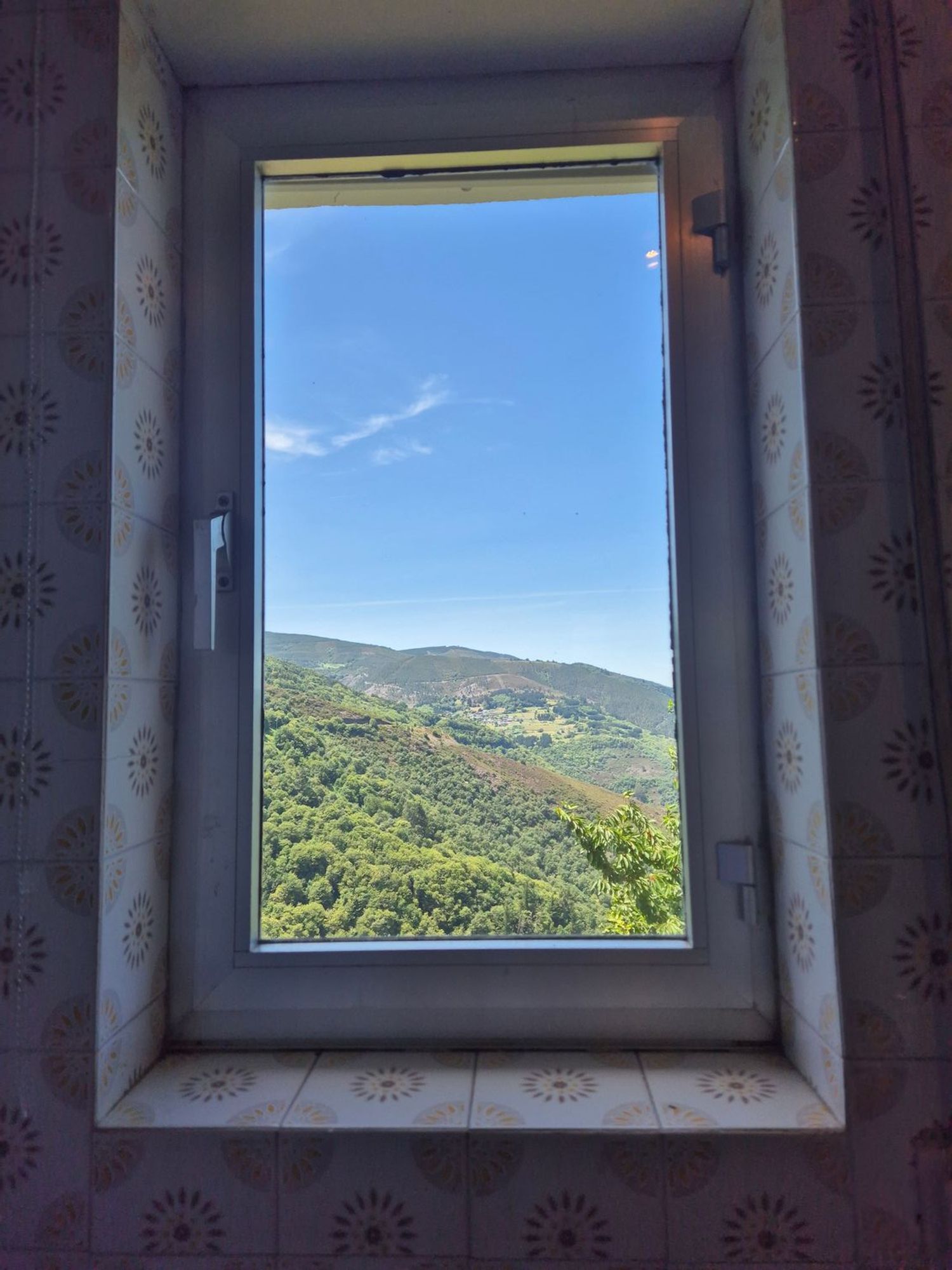 Casas o chalets-Venta-Ibias-2412431-Foto-8