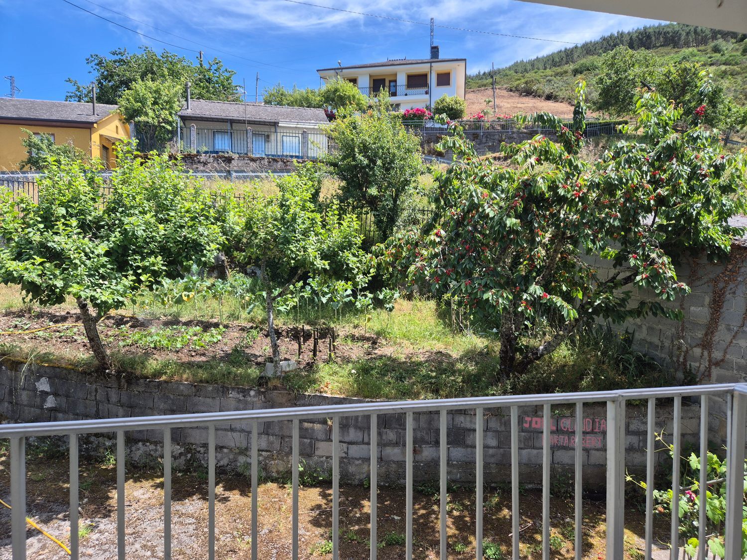 Casas o chalets-Venta-Ibias-2412431-Foto-10