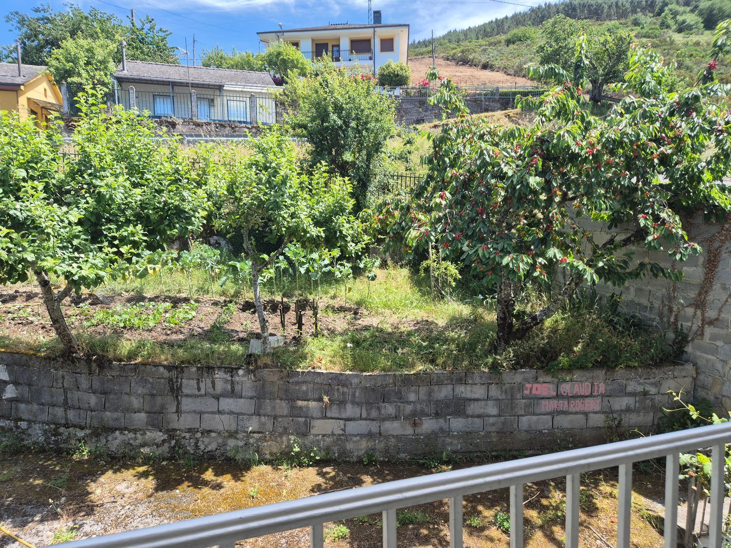 Casas o chalets-Venta-Ibias-2412431-Foto-11