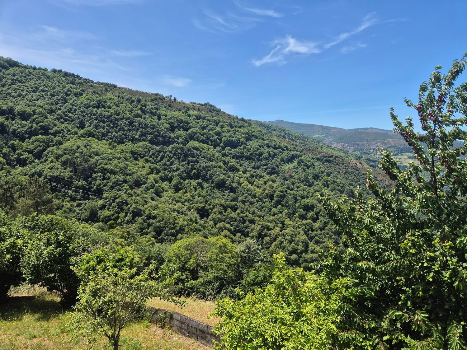 Casas o chalets-Venta-Ibias-2412431-Foto-17