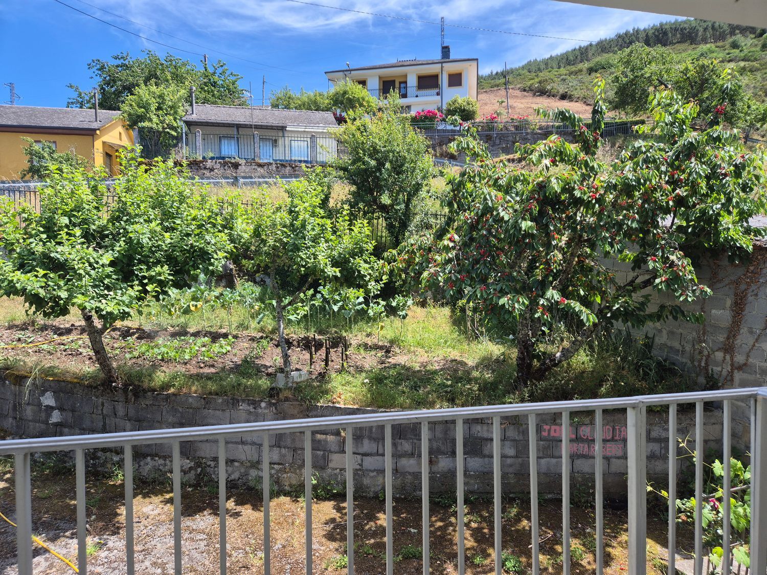 Casas o chalets-Venta-Ibias-2412431-Foto-15