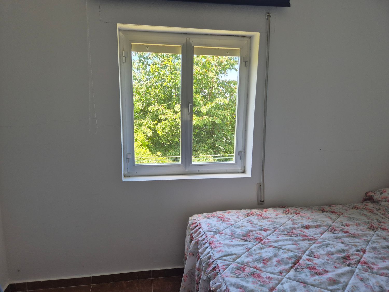 Casas o chalets-Venta-Ibias-2412431-Foto-21