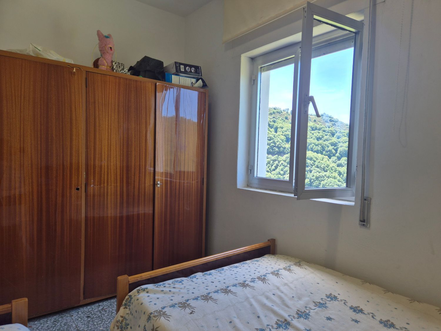 Casas o chalets-Venta-Ibias-2412431-Foto-25