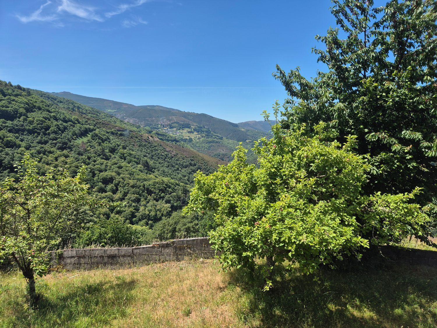 Casas o chalets-Venta-Ibias-2412431-Foto-37
