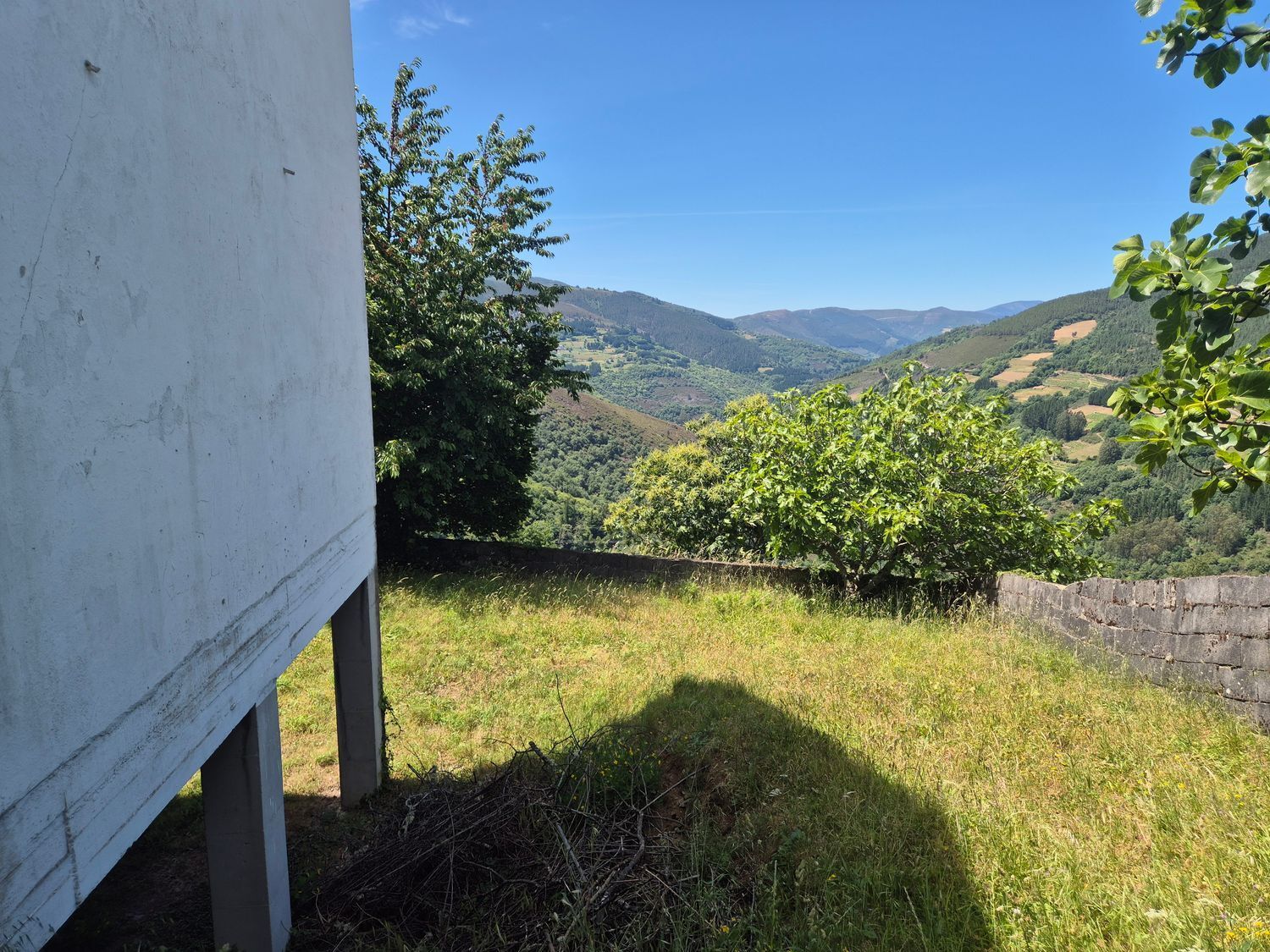 Casas o chalets-Venta-Ibias-2412431-Foto-41