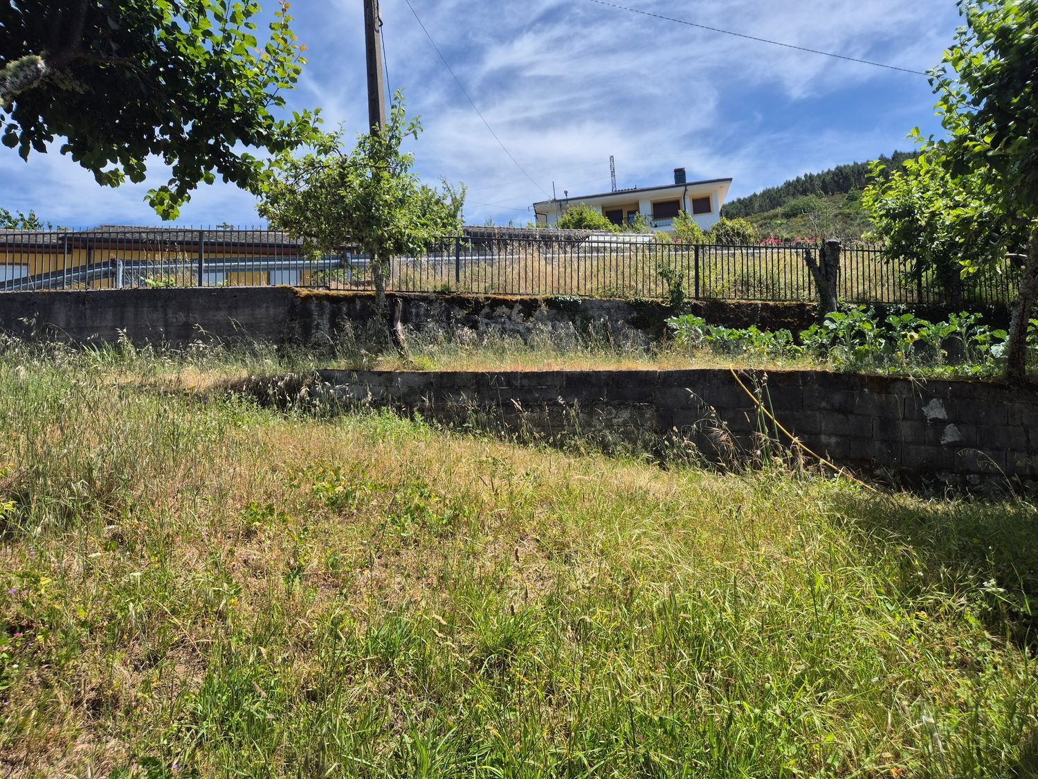 Casas o chalets-Venta-Ibias-2412431-Foto-46
