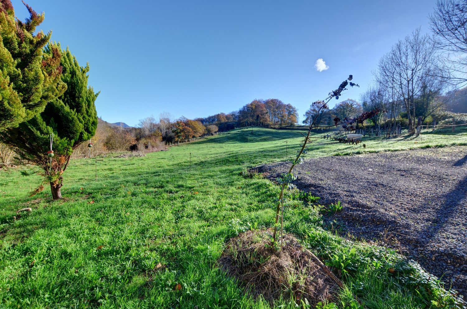 Casas o chalets-Venta-Cangas de OnÃ­s-2412434-Foto-47